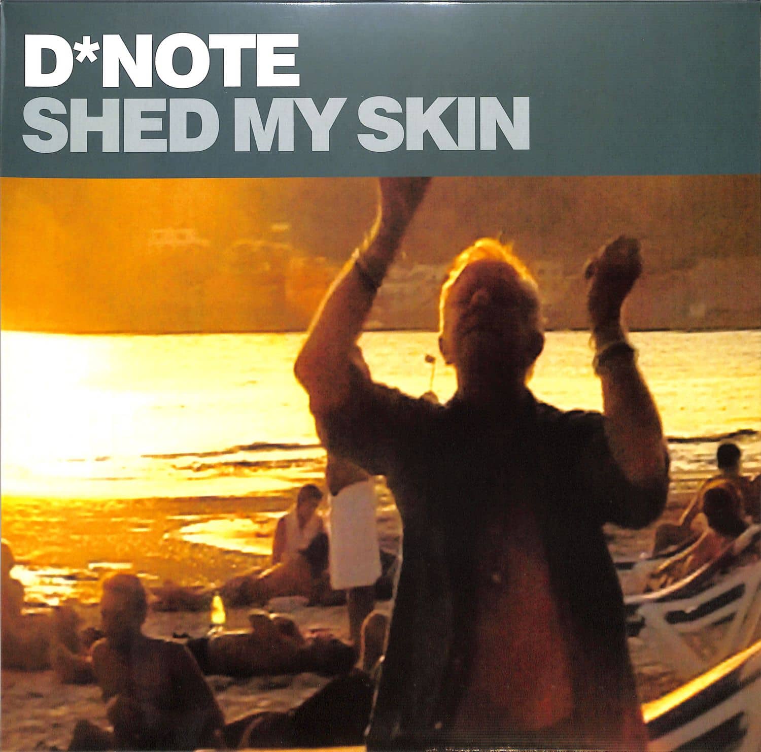 Shed my skin. D-Note - Shed my Skin. Music for work Shed my Skin.