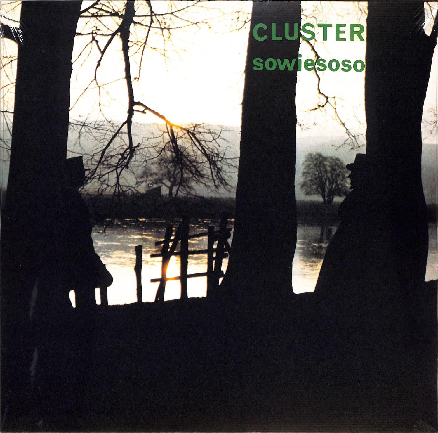 Cluster - SOWIESOSO 