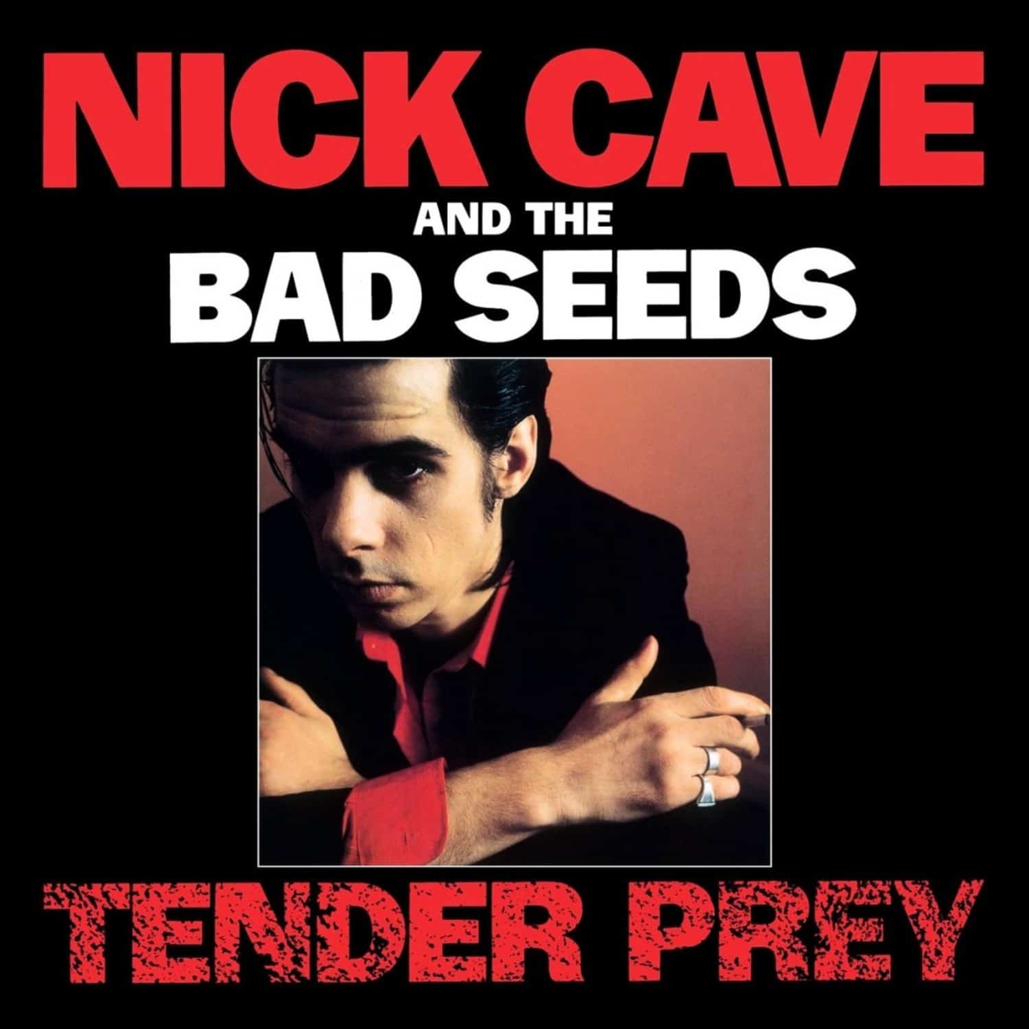 Nick Cave & The Bad Seeds - TENDER PREY 