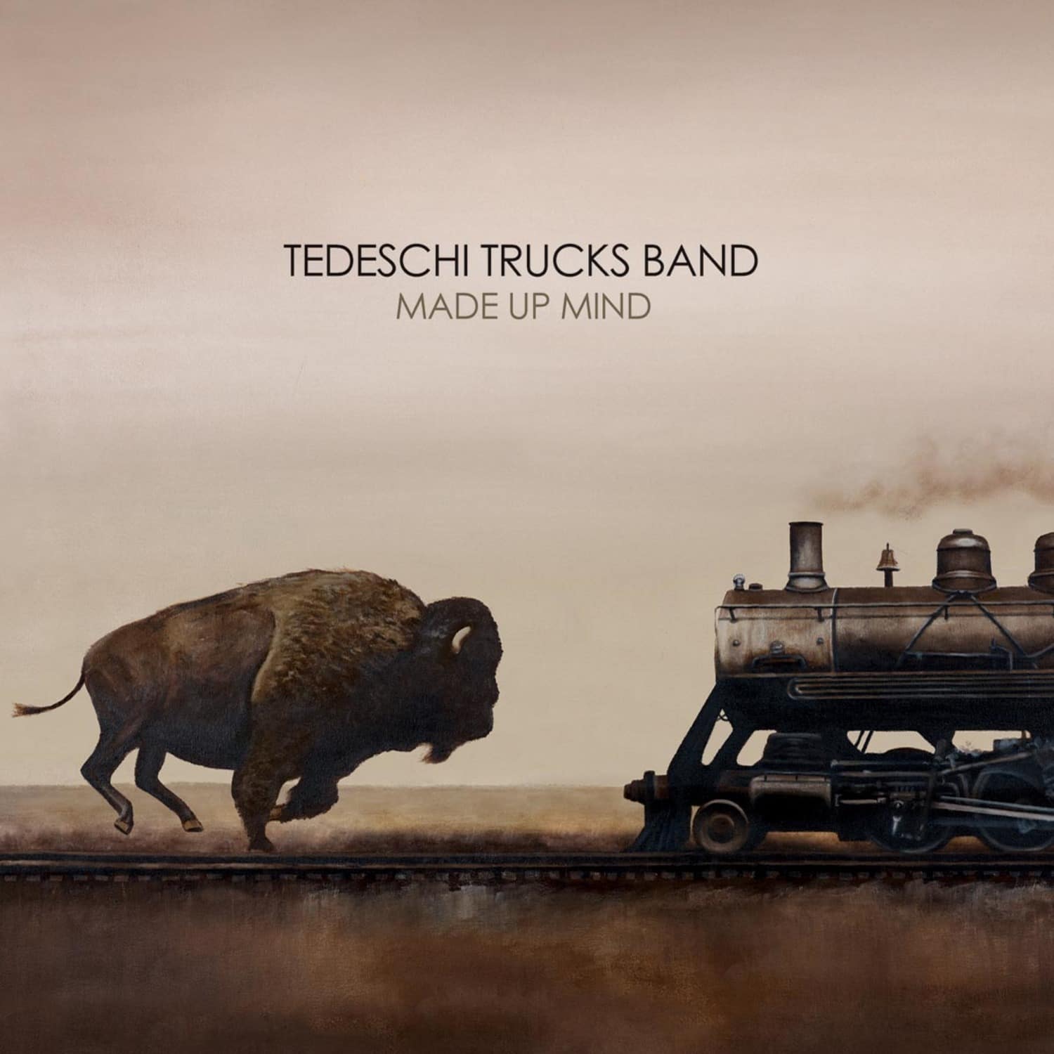 Tedeschi Trucks Band - MADE UP MIND 