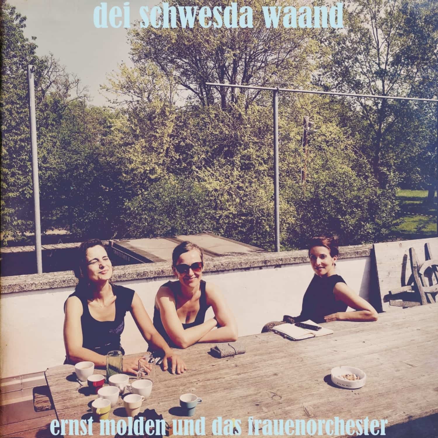 Ernst Molden & das Frauenorchester - DEI SCHWESDA WAAND 