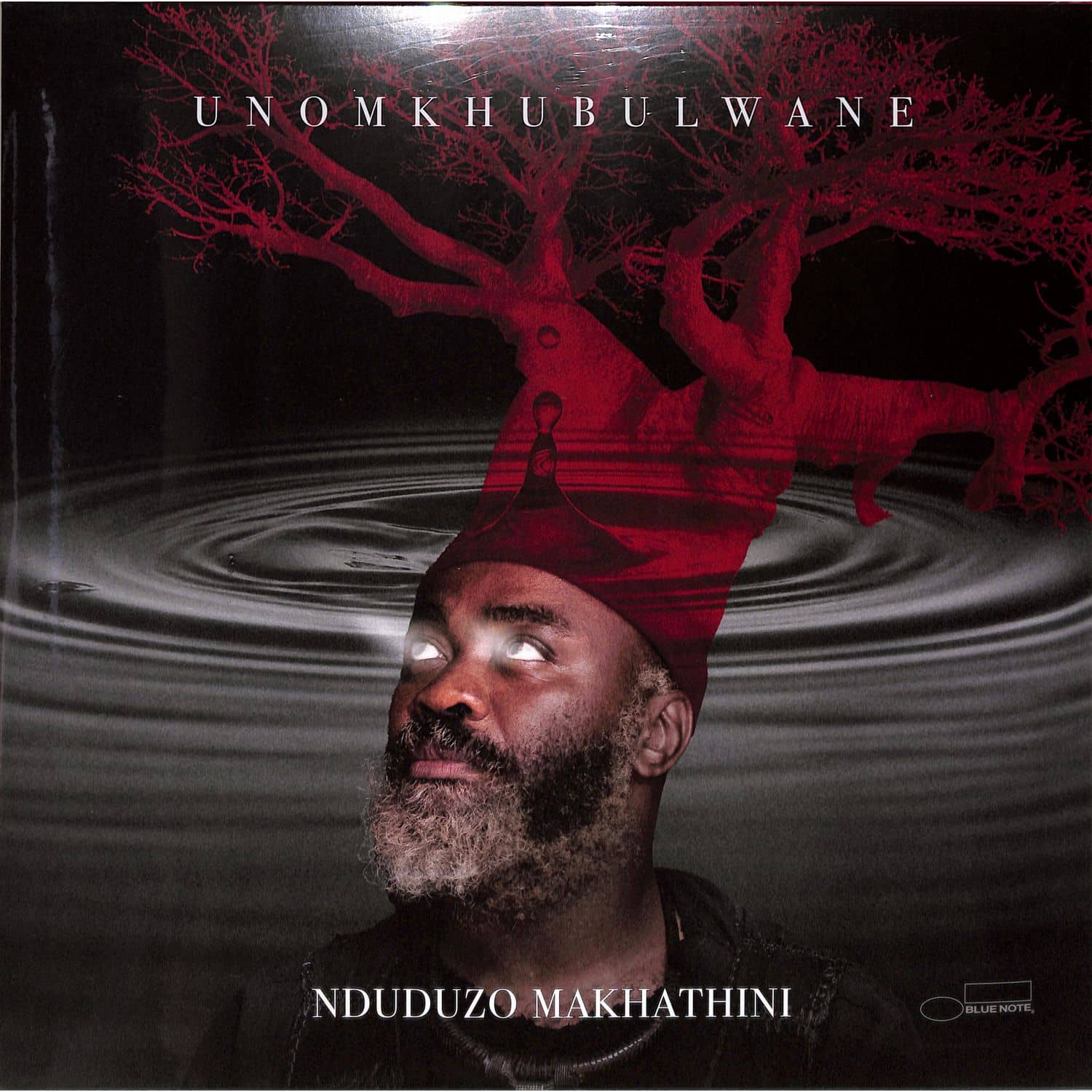 Nduduzo Makhathini - UNOMKHUBULWANE 