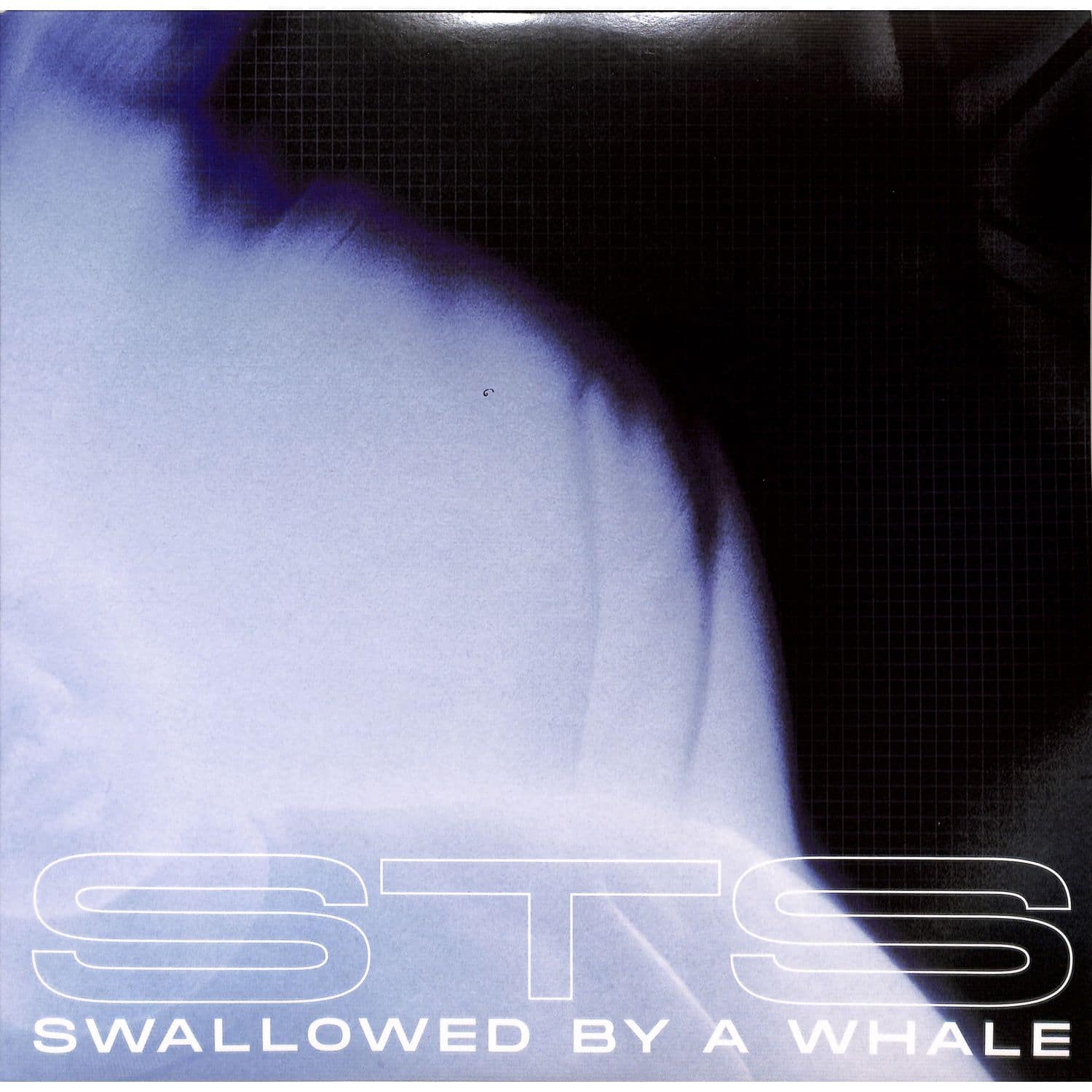 STS - SWALLOWED BY A WHALE 
