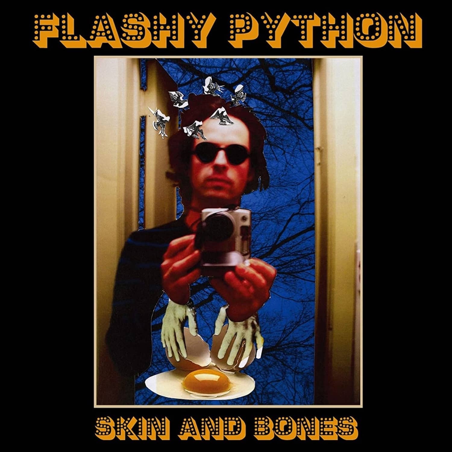 Flashy Python - SKIN AND BONES 