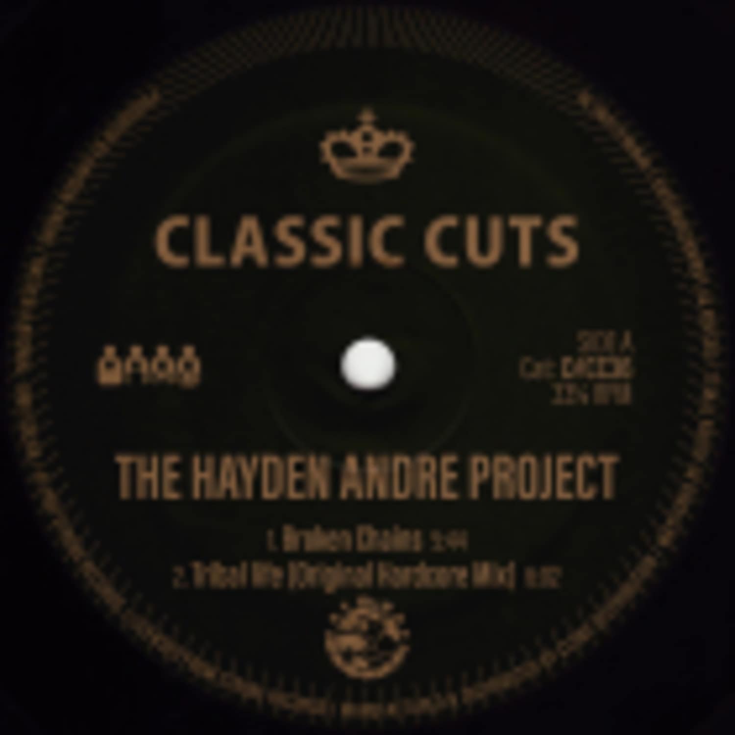 The Hayden Andre Project / Kingdom Come - TRIBAL LIFE / GROOVY BABY EP