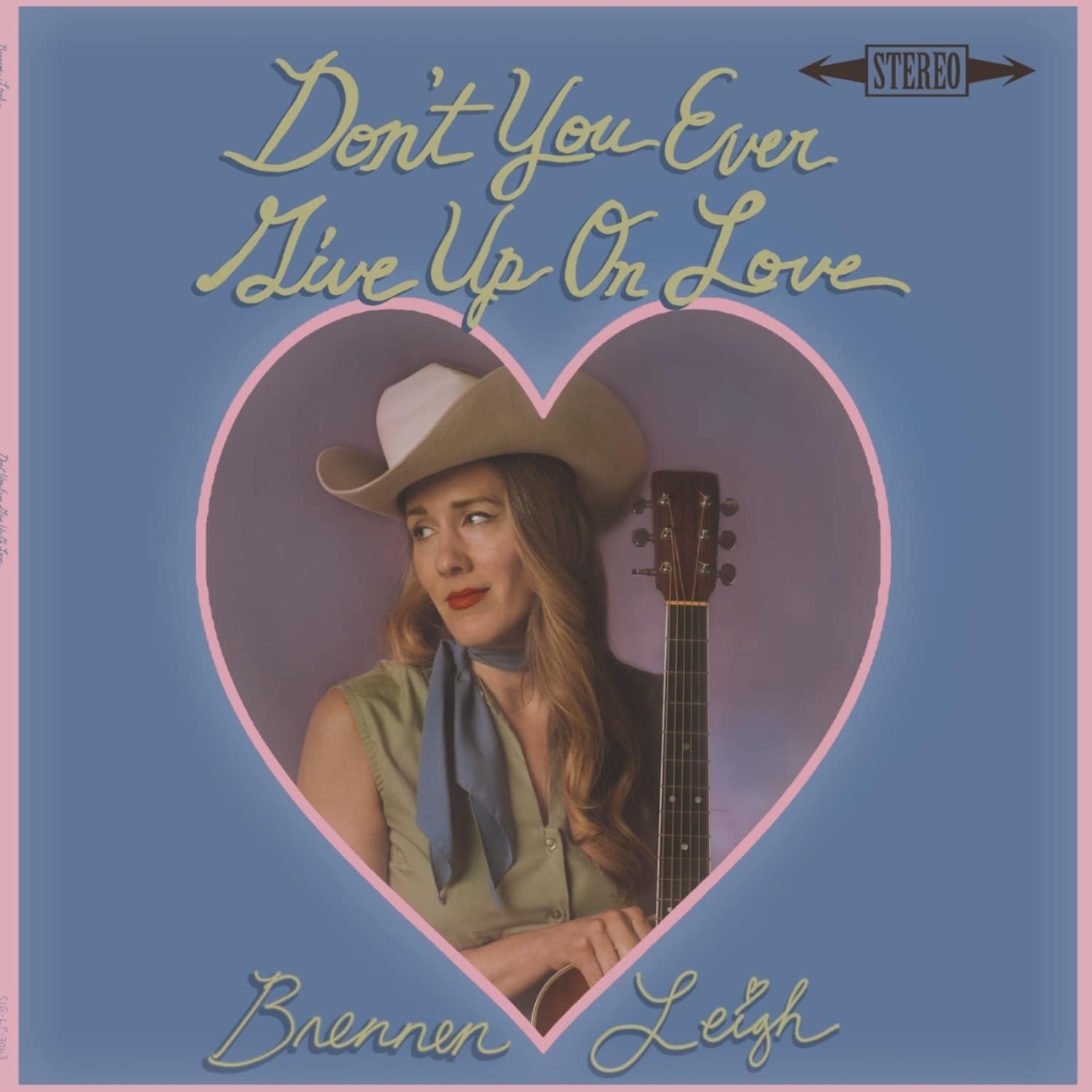 Brennen Leigh - DON T YOU EVER GIVE UP ON LOVE 