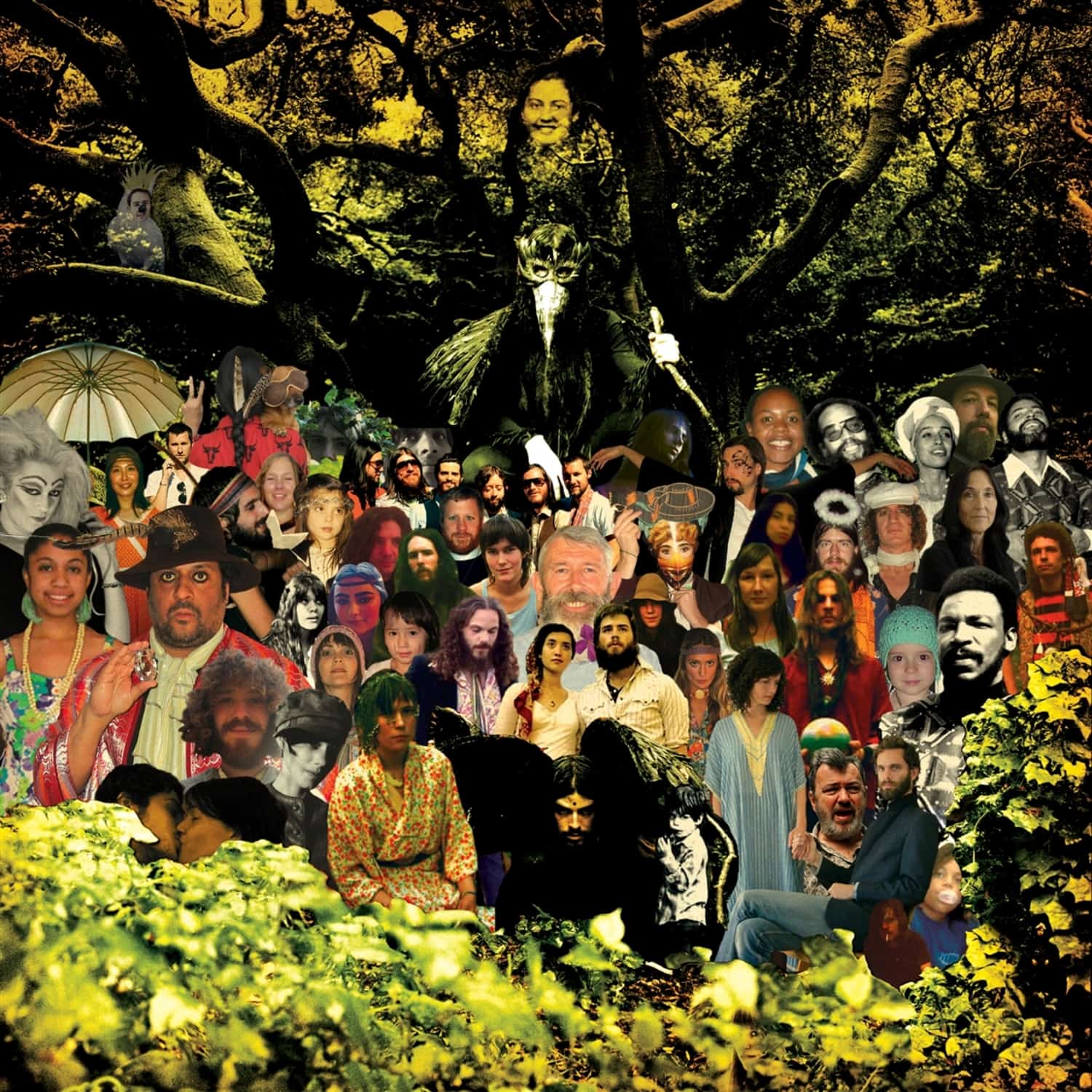 Devendra Banhart - CRIPPLE CROW 