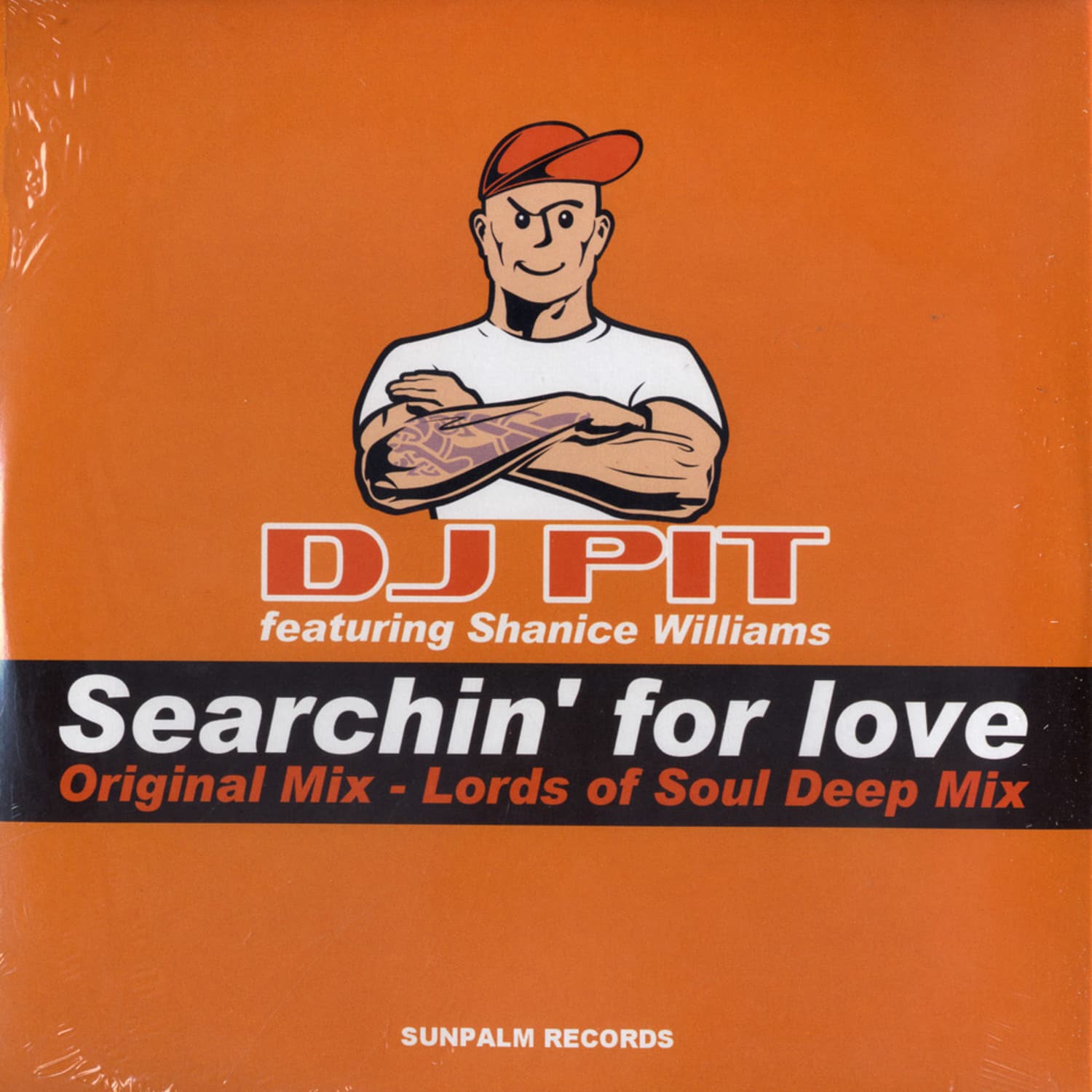 DJ Pit feat. Shanice Williams - SEARCHIN FOR LOVE