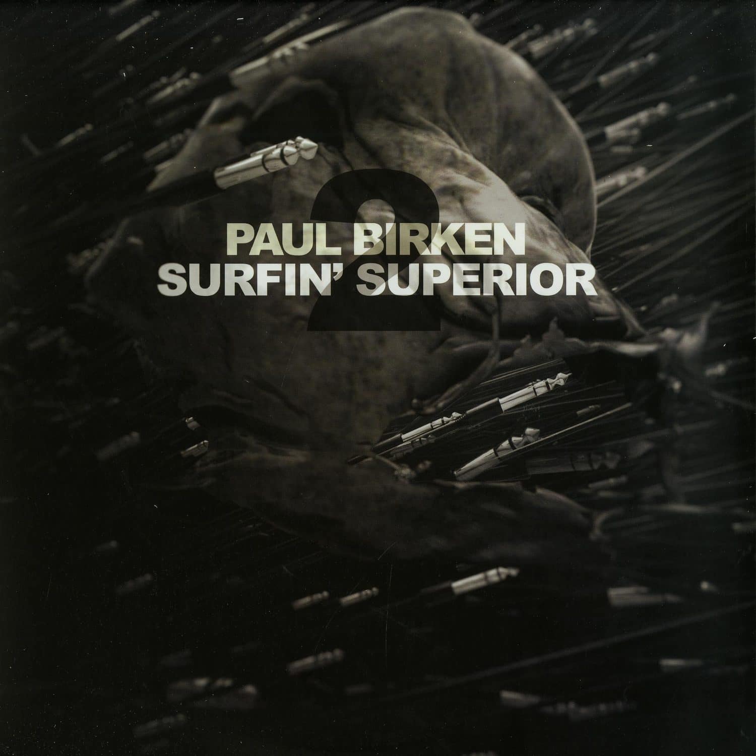 Paul Birken - SURFIN SUPERIOR 2 