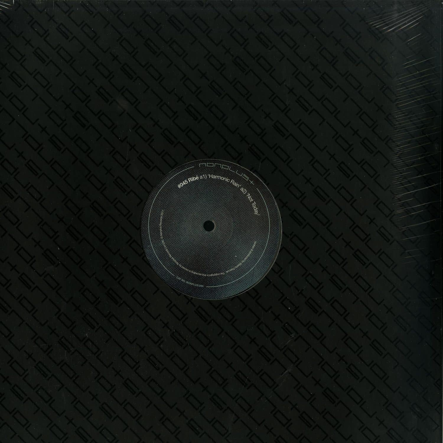 Ribe - HARMONIC RAIN