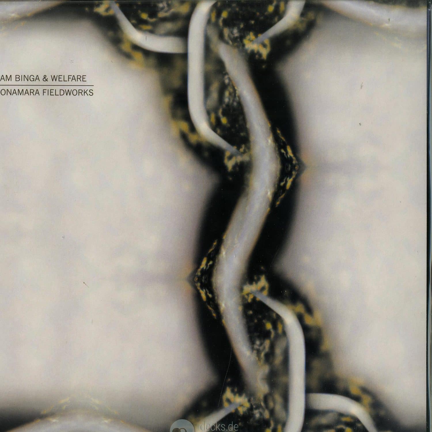 Sam Binga & Welfare - CONAMARA FIELDWORKS