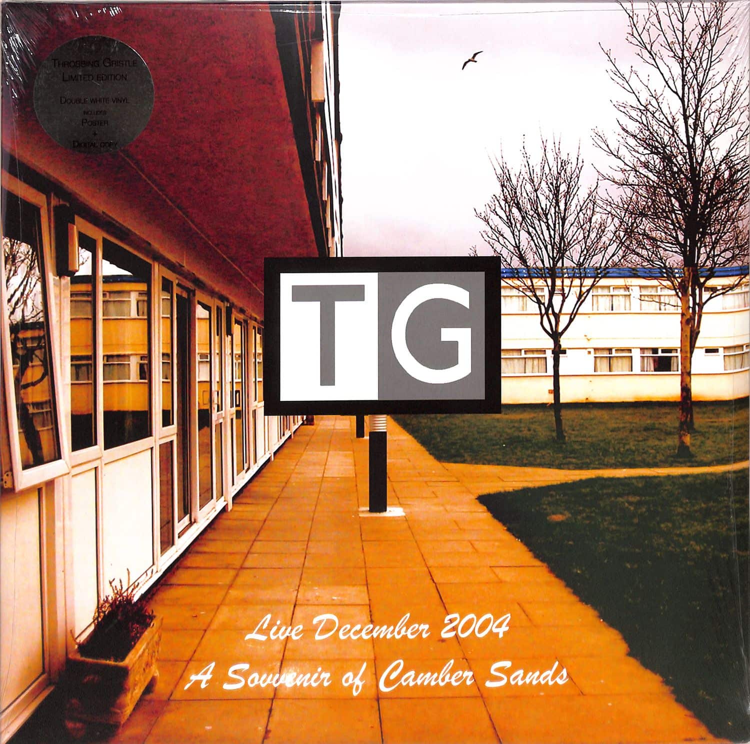 Throbbing Gristle - LIVE DECEMBER 2004 - A SOUVENIR OF CAMBER SANDS