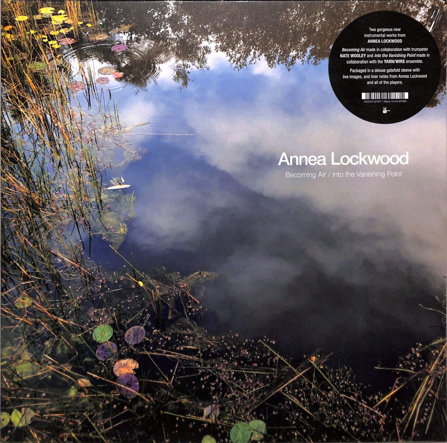 Annea Lockwood - BECOMING AIR / INTO THE VANISHING POINT 
