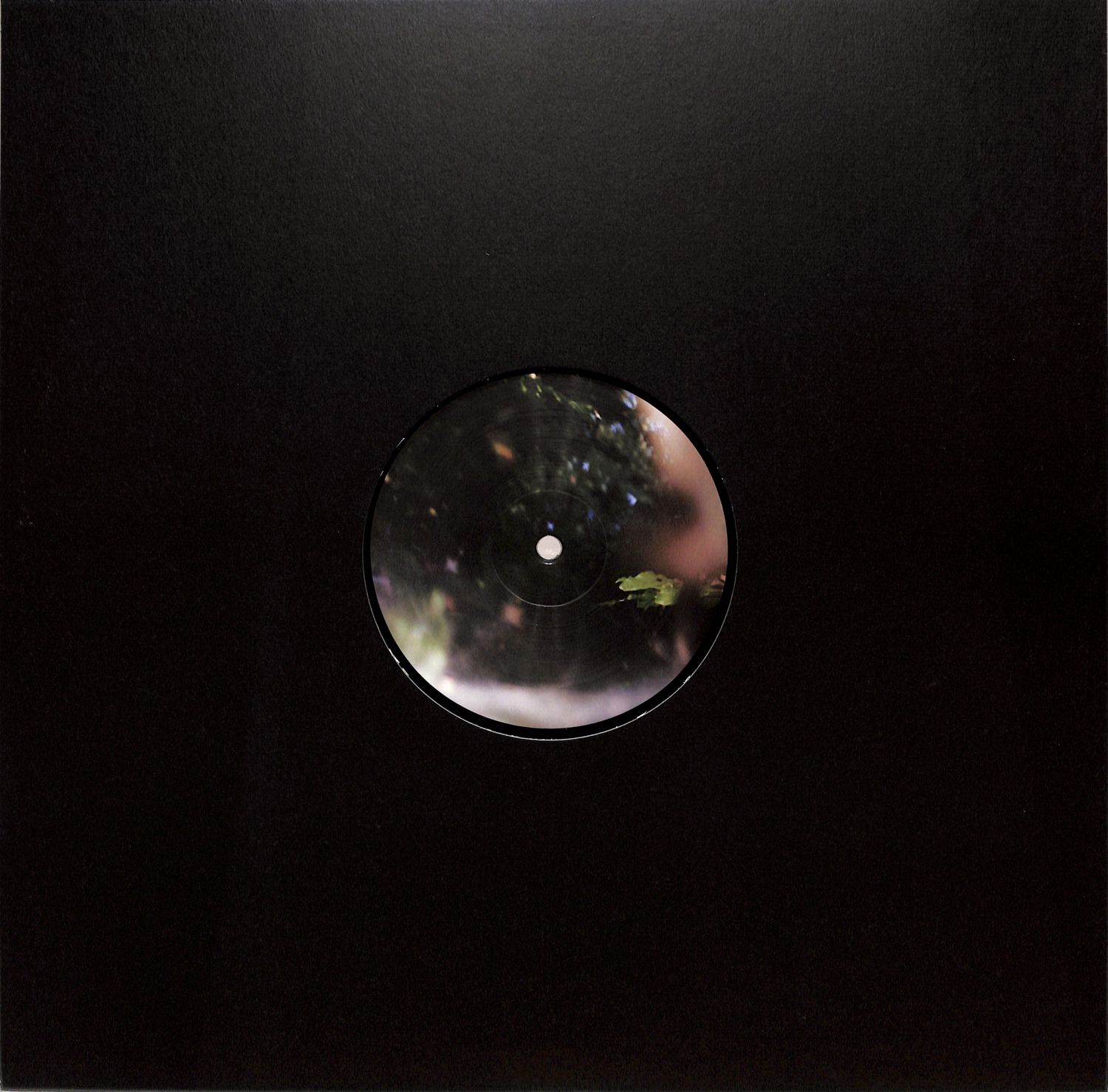 Tammo Hesselink - BORROWED WHEELS