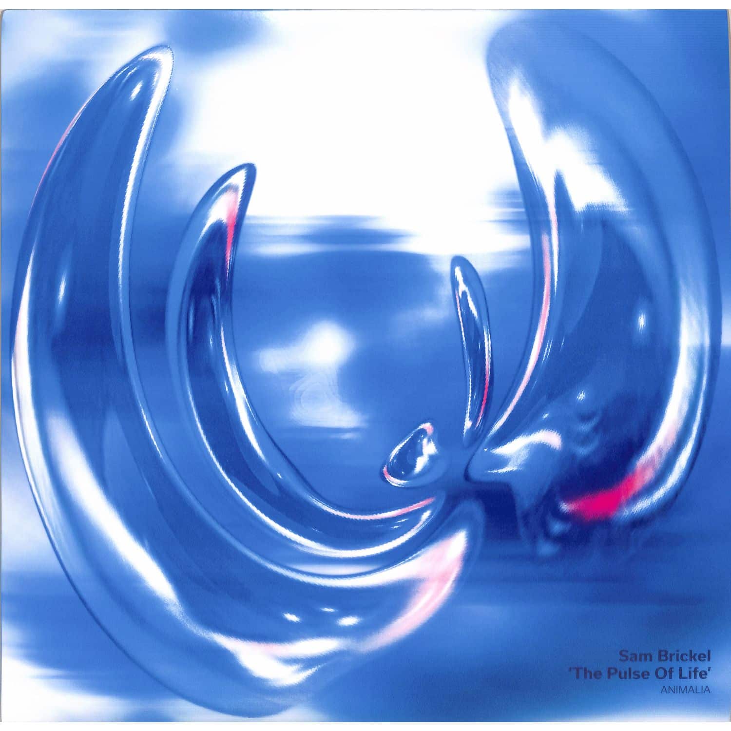Sam Brickel - THE PULSE OF LIFE 
