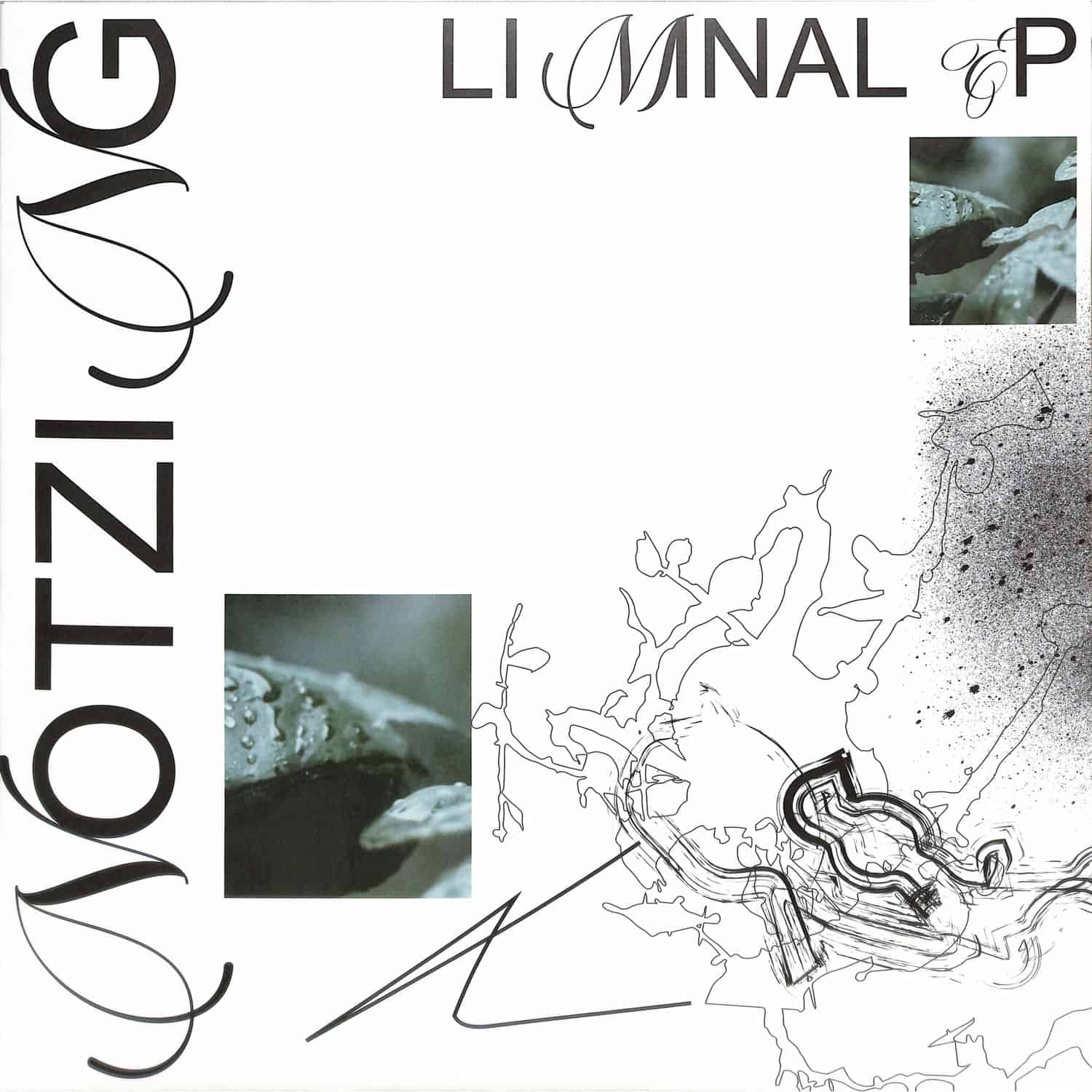 Notzing - LIMINAL EP