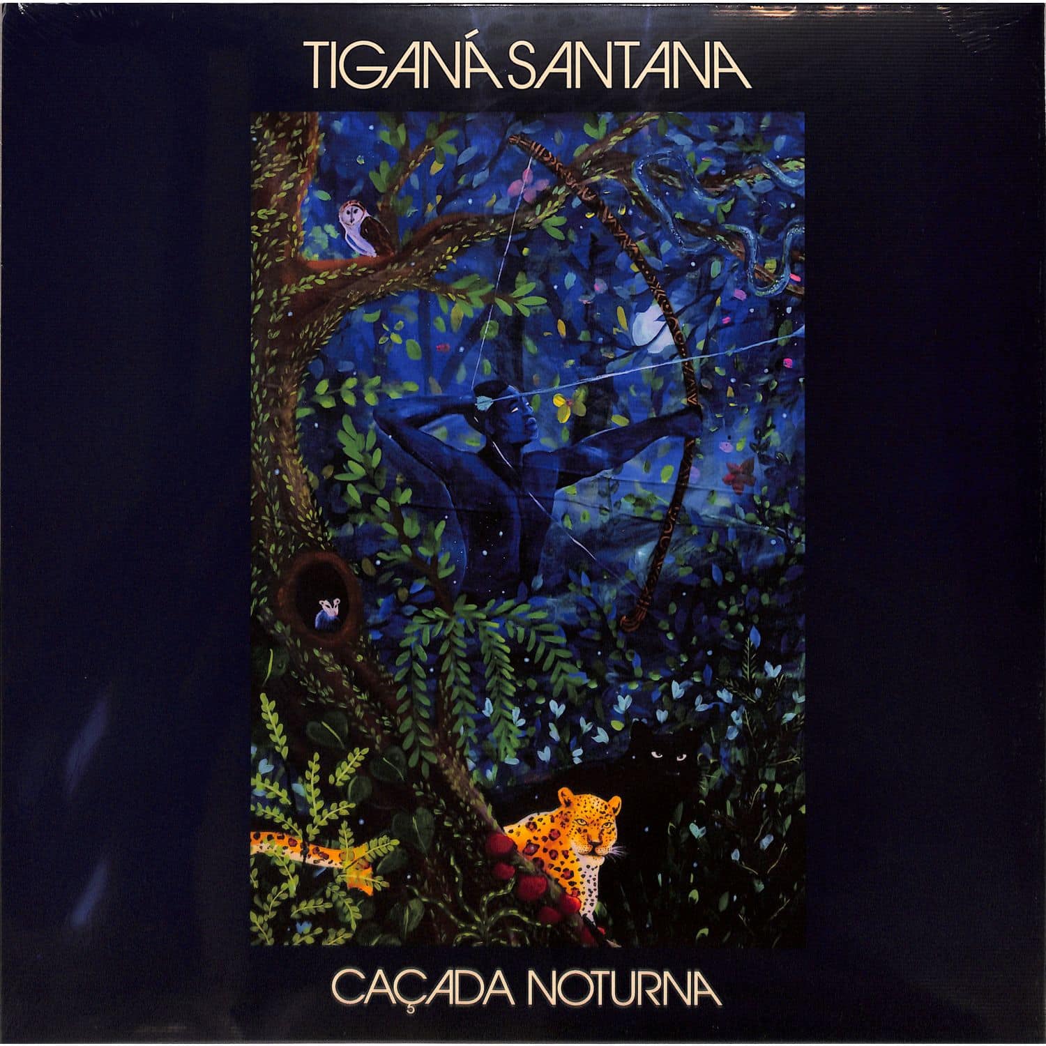 Tigana Santana - CACADA NOTURNA 