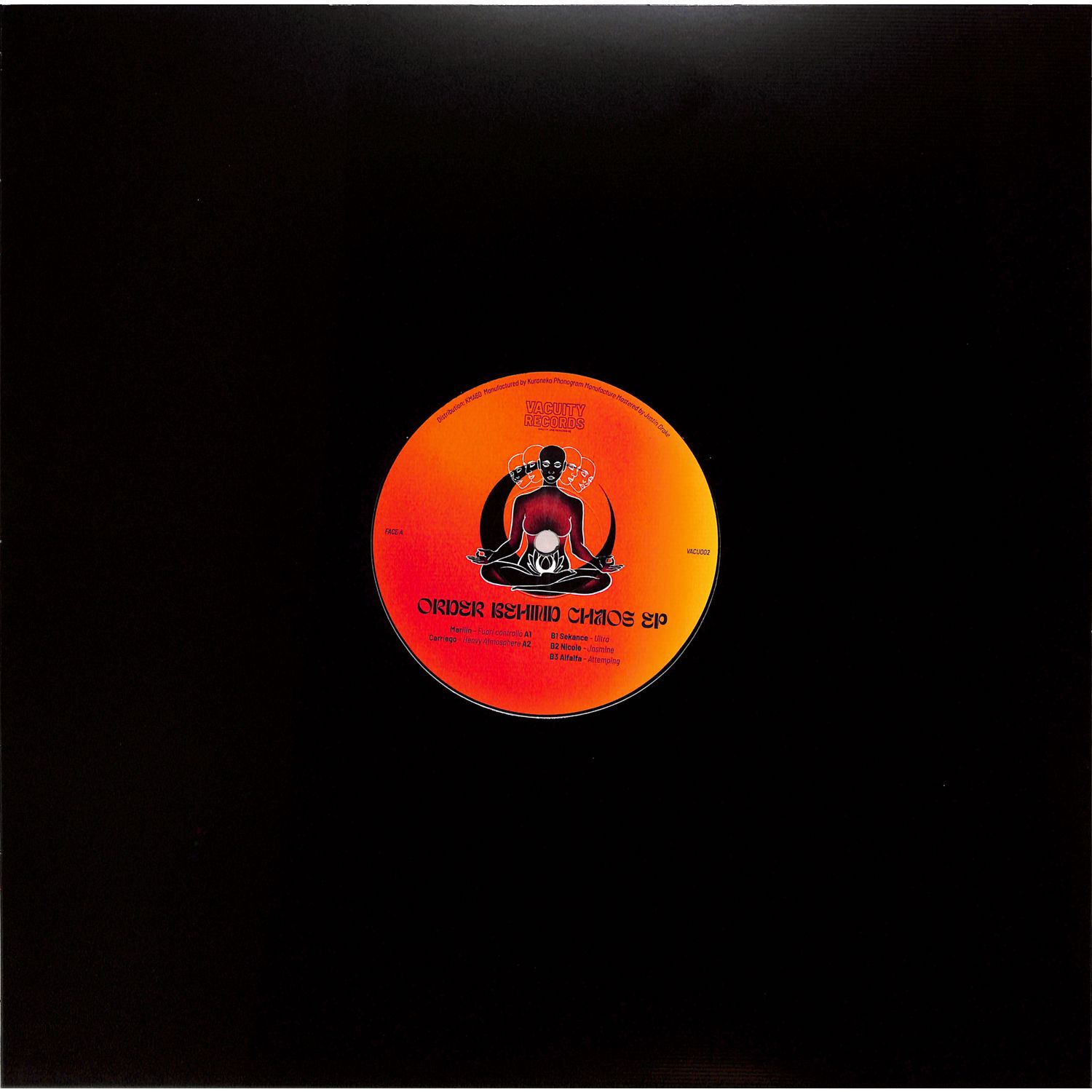 Various Artists - ORDER BEHIND CHAOS EP