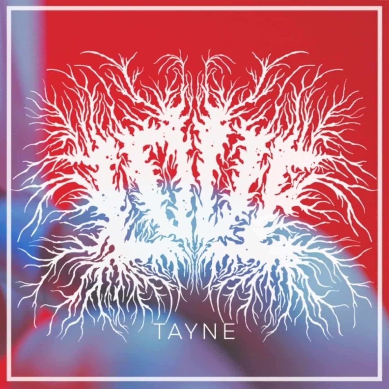 Tayne - LOVE 