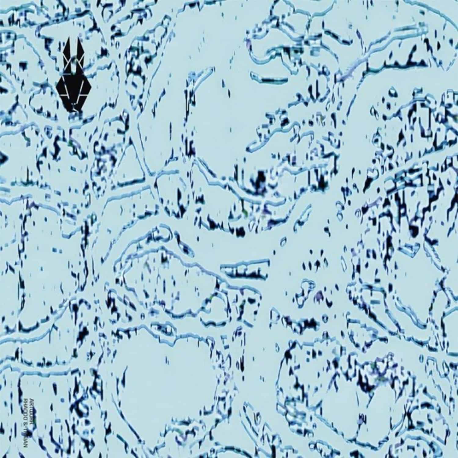 Rh.cher aka Rhadoo / Traian Chereches - DRAG-O MIR EP 