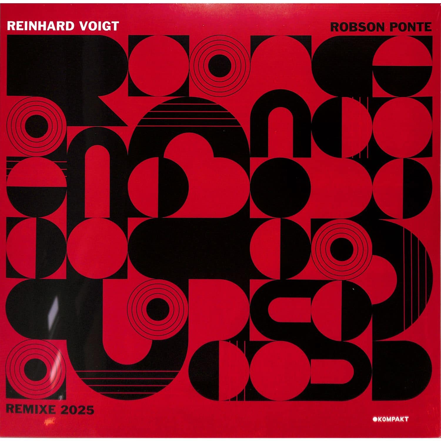 Reinhard Voigt - ROBSON PONTE REMIXE 2025