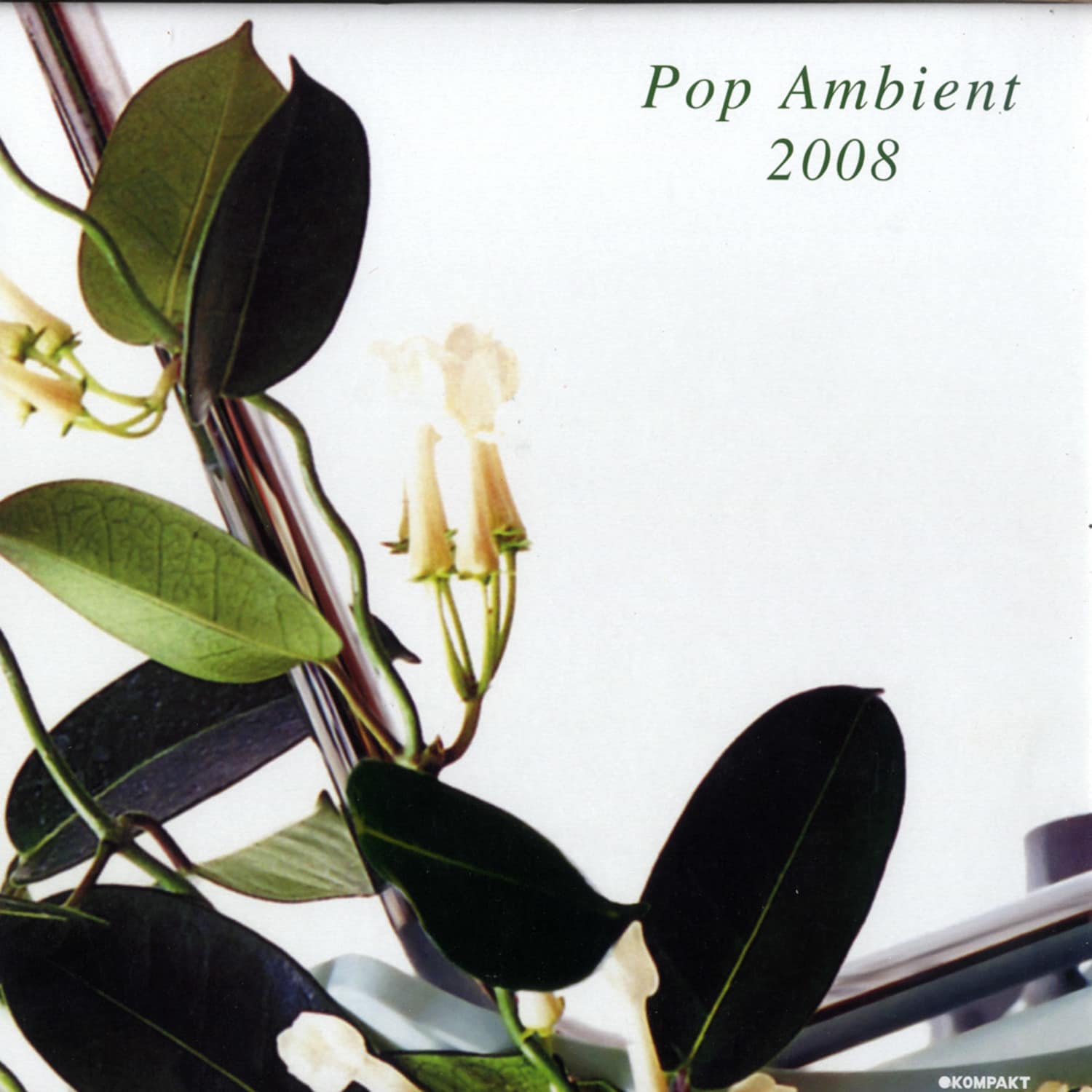 Various Artists - POP AMBIENT 2008