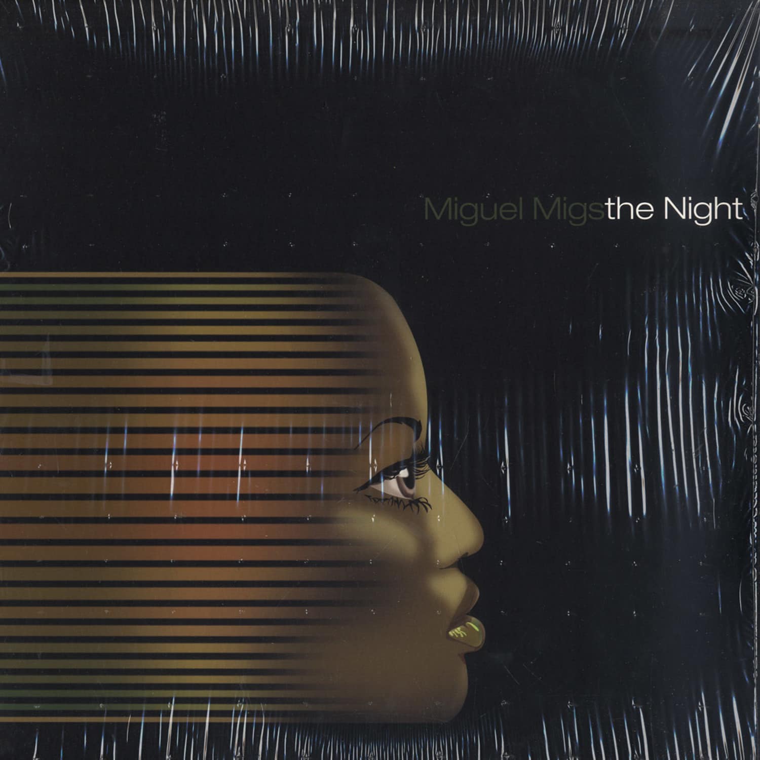 Miguel Migs - THE NIGHT REMIXES