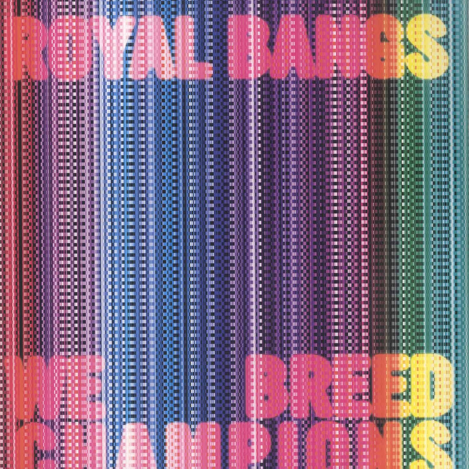 Royal Bangs - WE BREED CHAMPIONS 