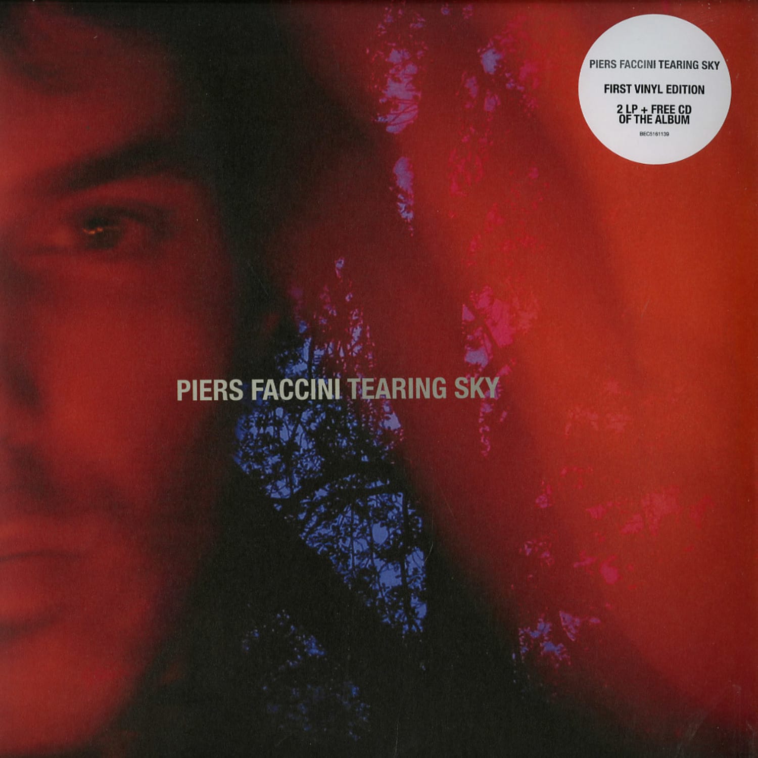 Piers Faccini - TEARING SKY 