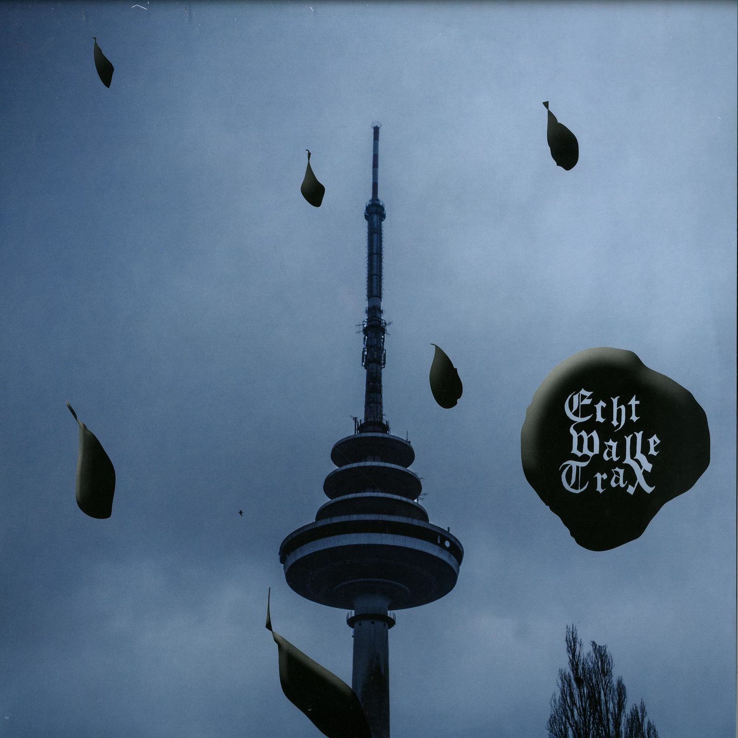 Various Artists - ECHT WALLE 