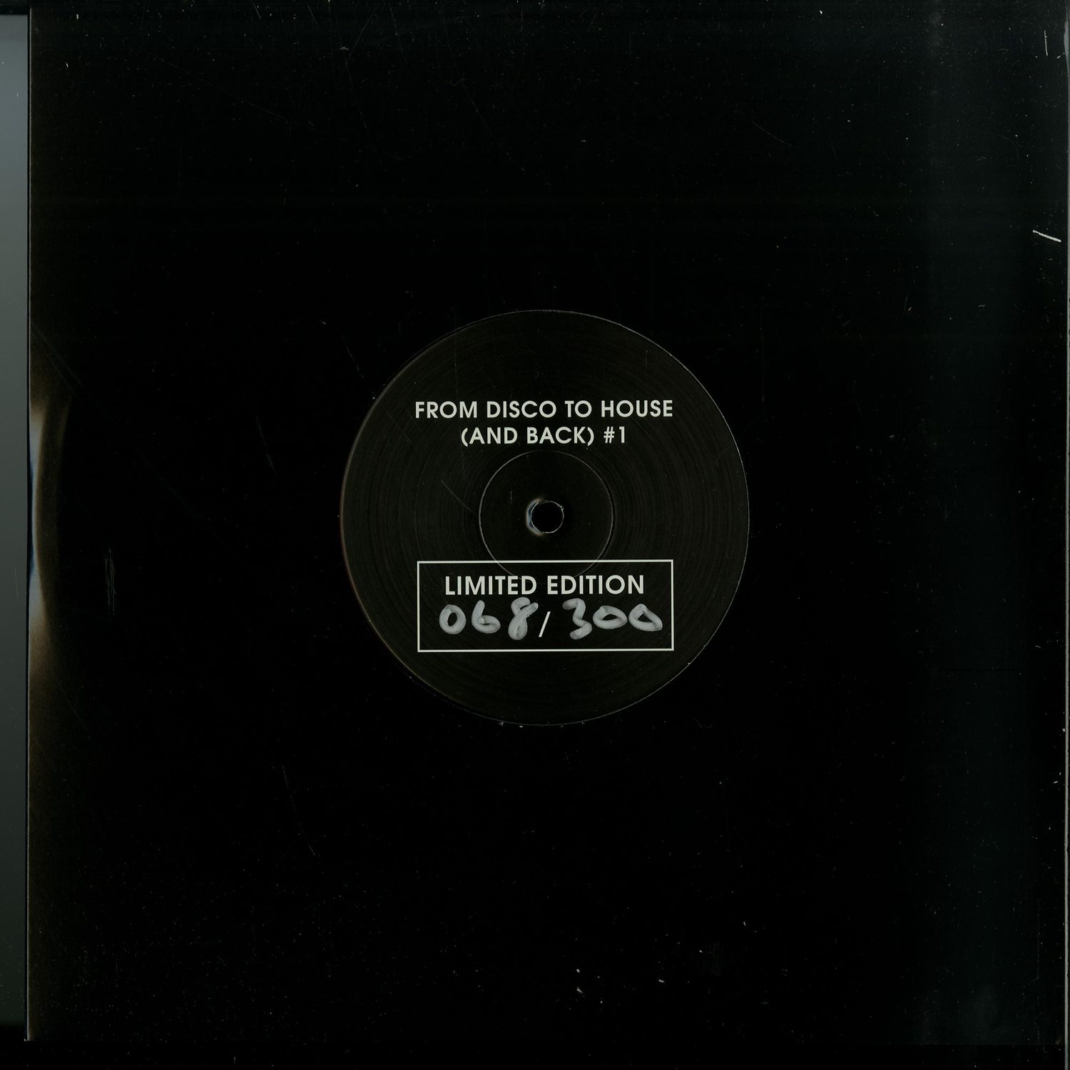 Various Artists - FROM DISCO TO HOUSE 