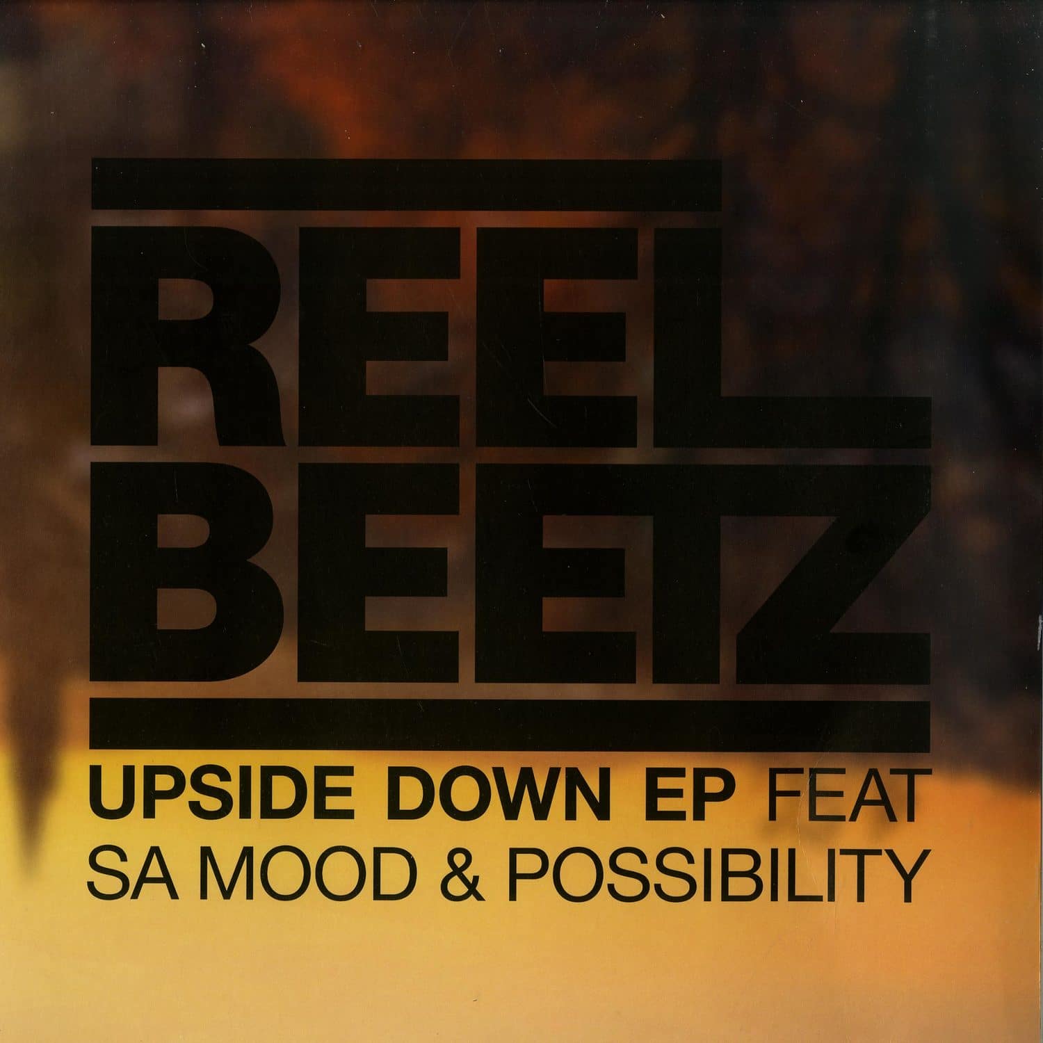 Reel Beetz - UPSIDE DOWN