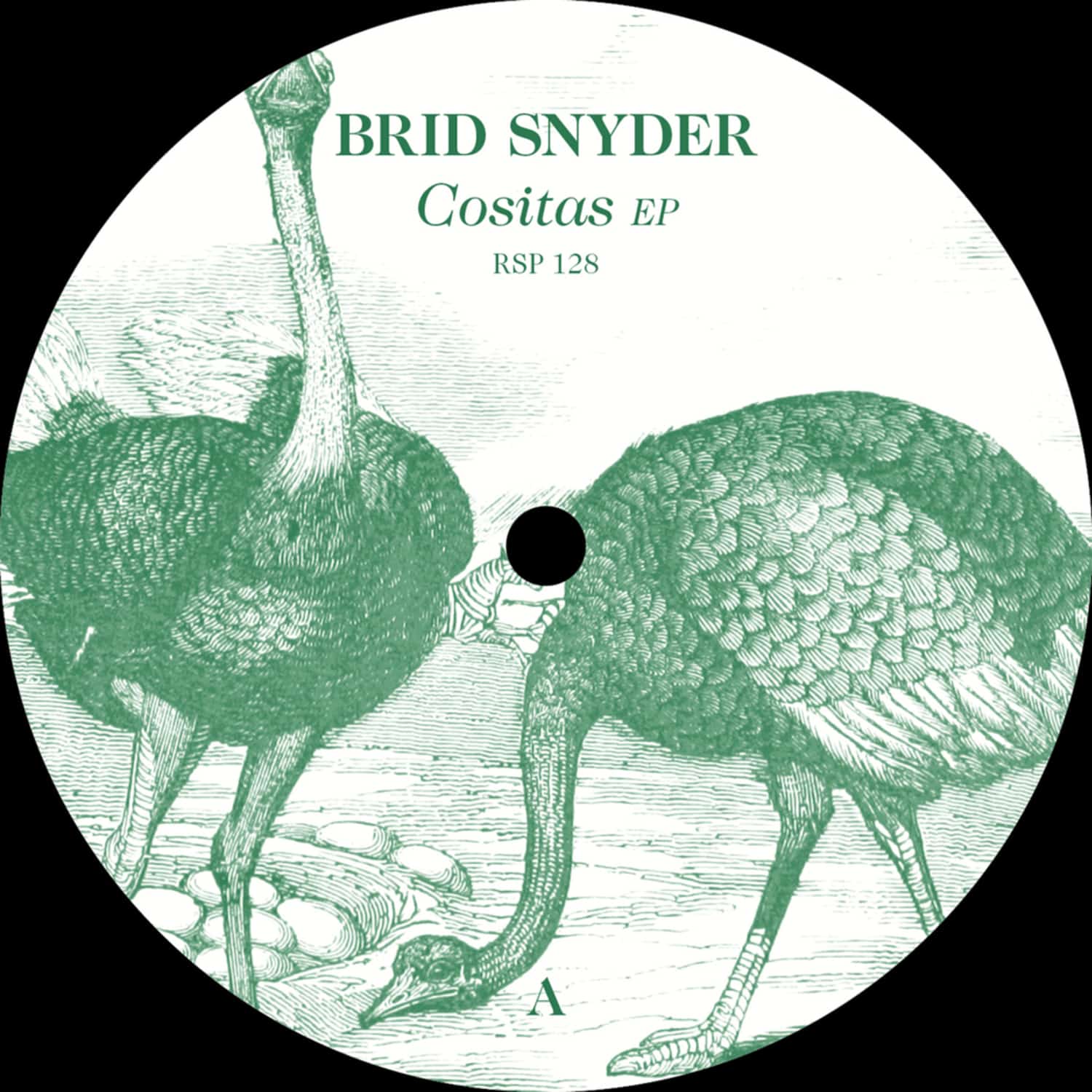 Brid & Snyder - SECRET PLACES EP