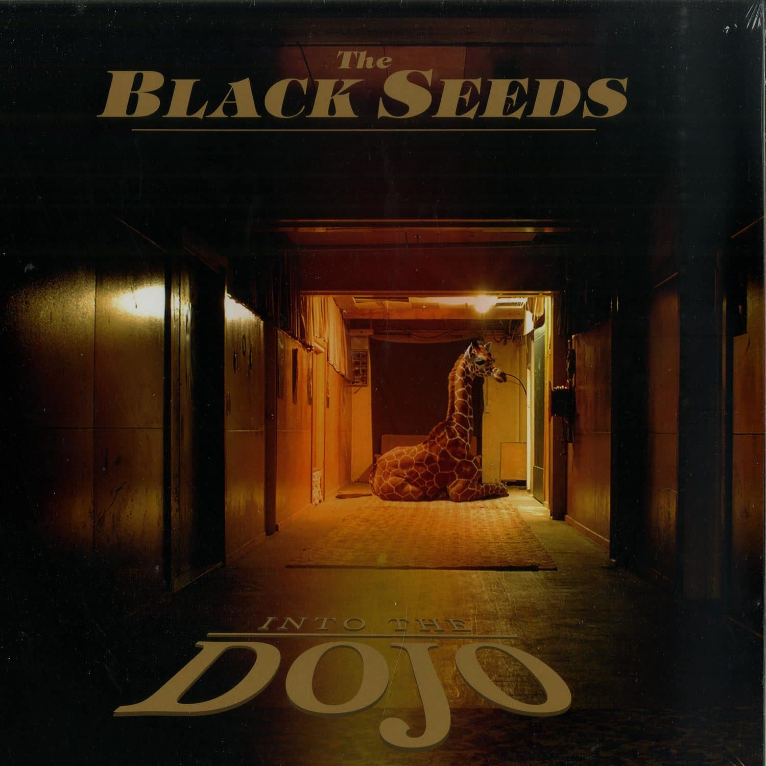 The Black Seeds - INTO THE DOJO 