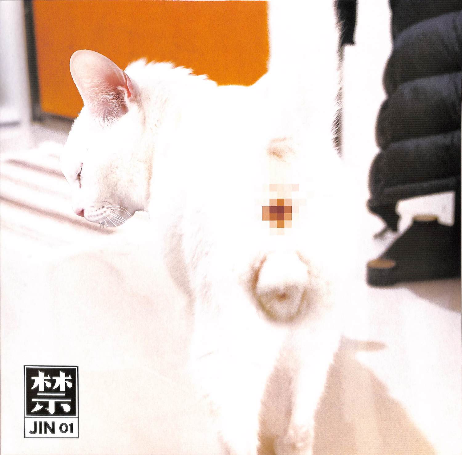Various Artists - JIN 01 