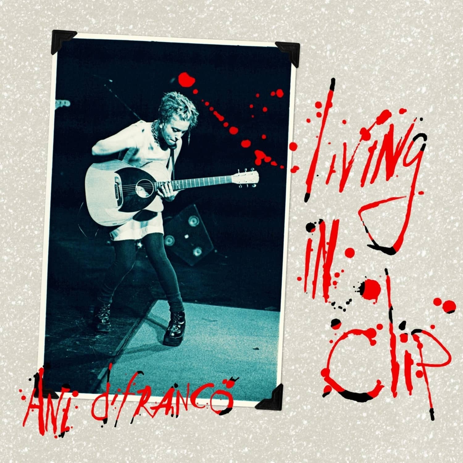 Ani Difranco - LIVING IN CLIP 