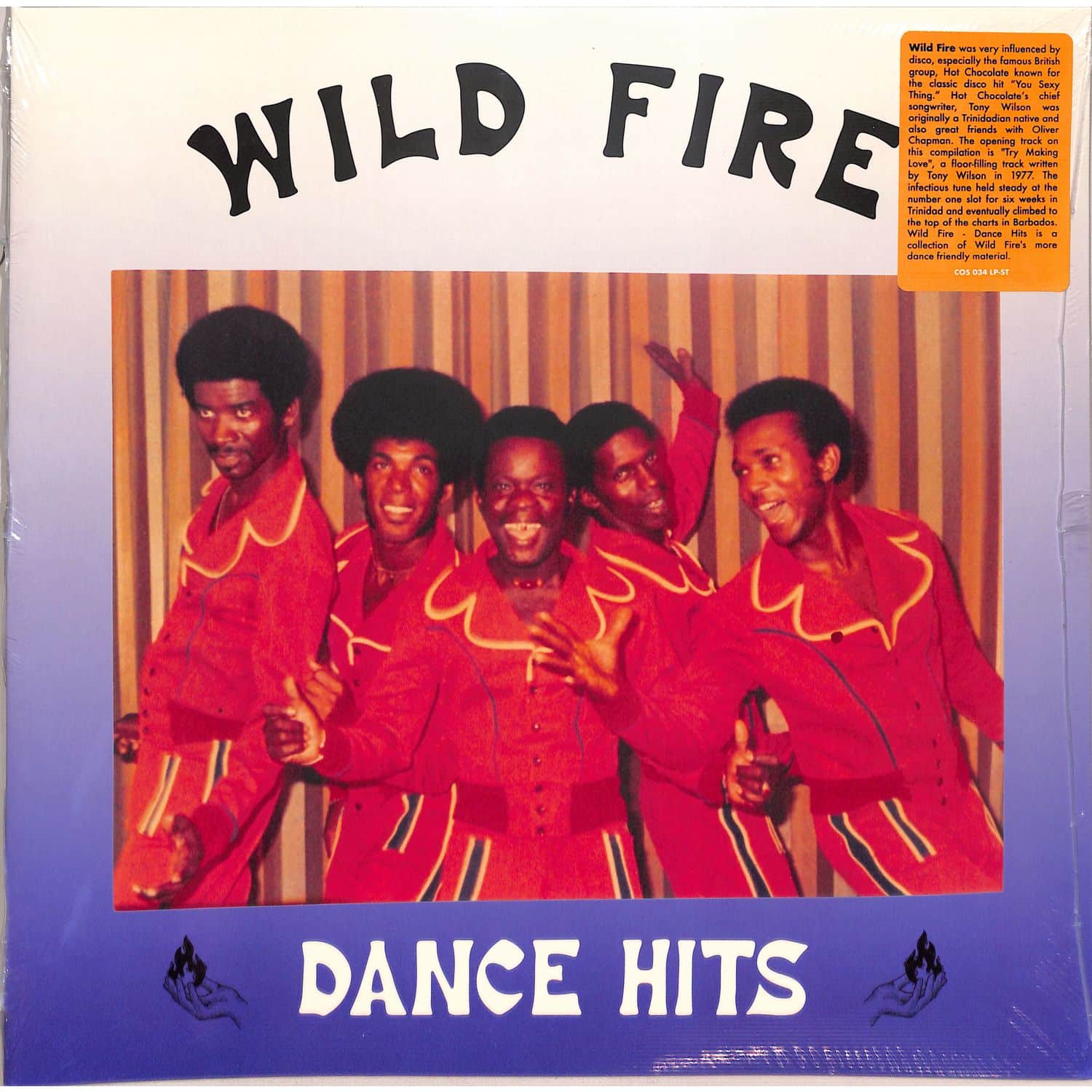 Wild Fire - DANCE HITS 
