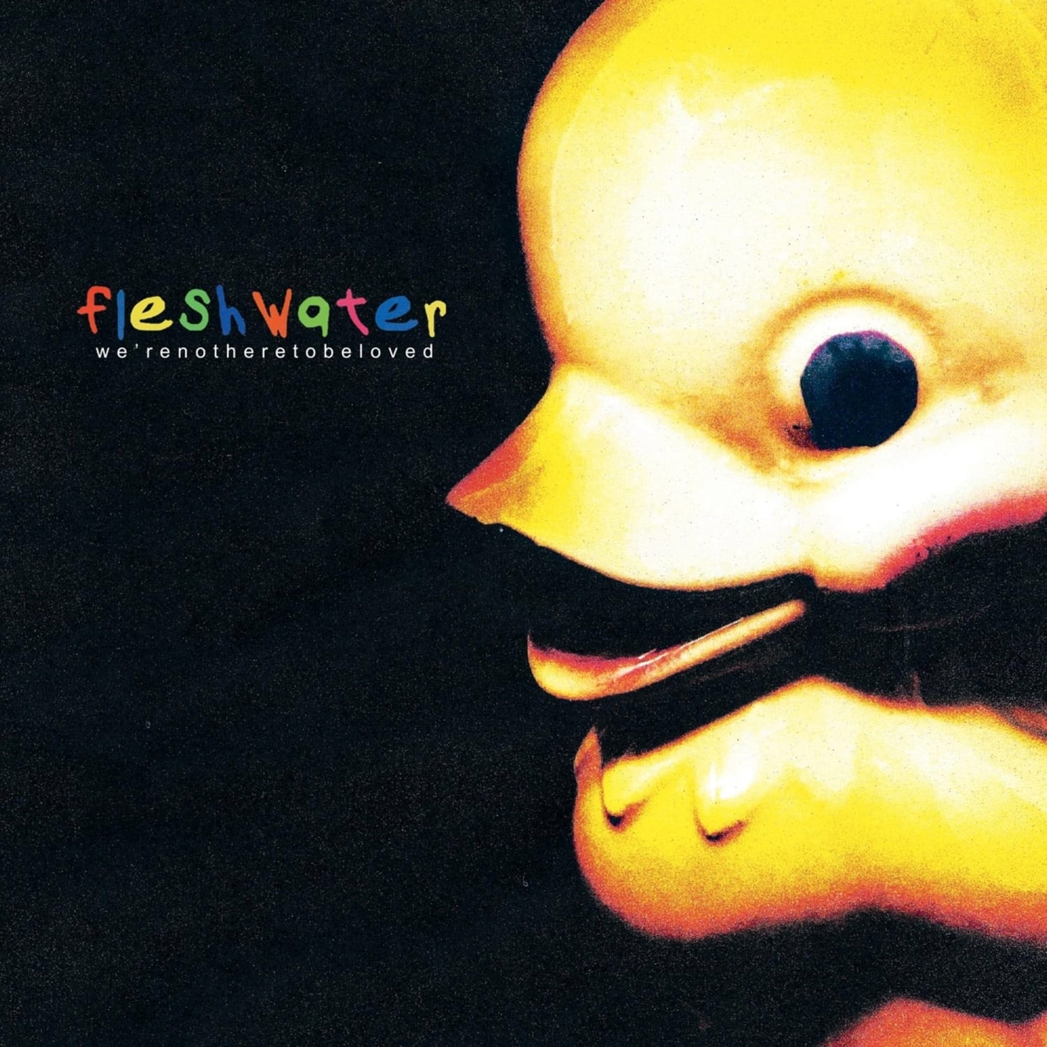 Fleshwater - WE RE NOT HERE TO BE LOVED 
