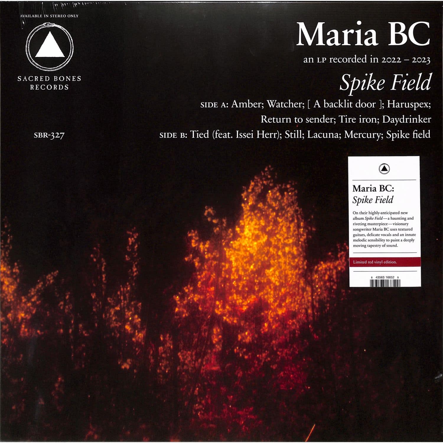 Maria BC - SPIKE FIELD 