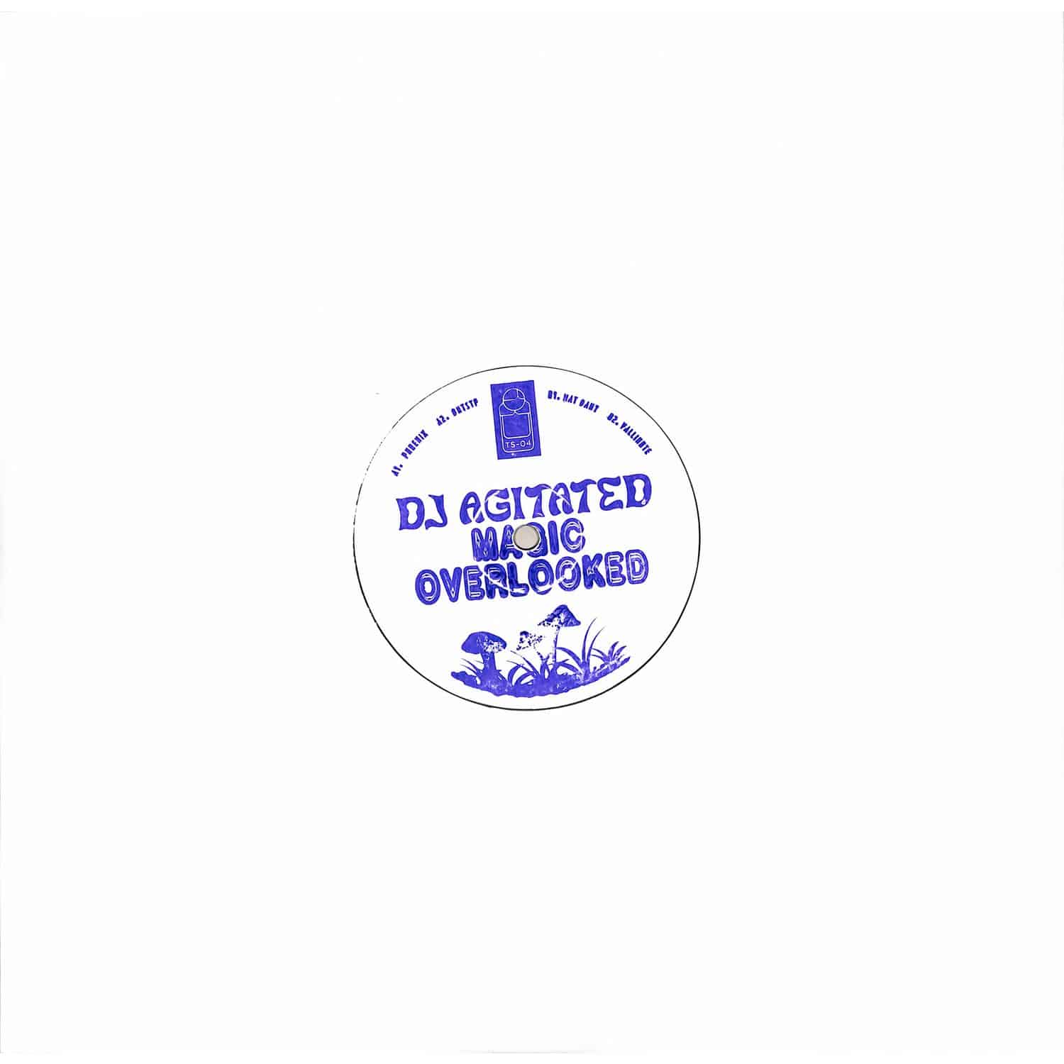 Dj Agitated - MAGIC OVERLOOKED