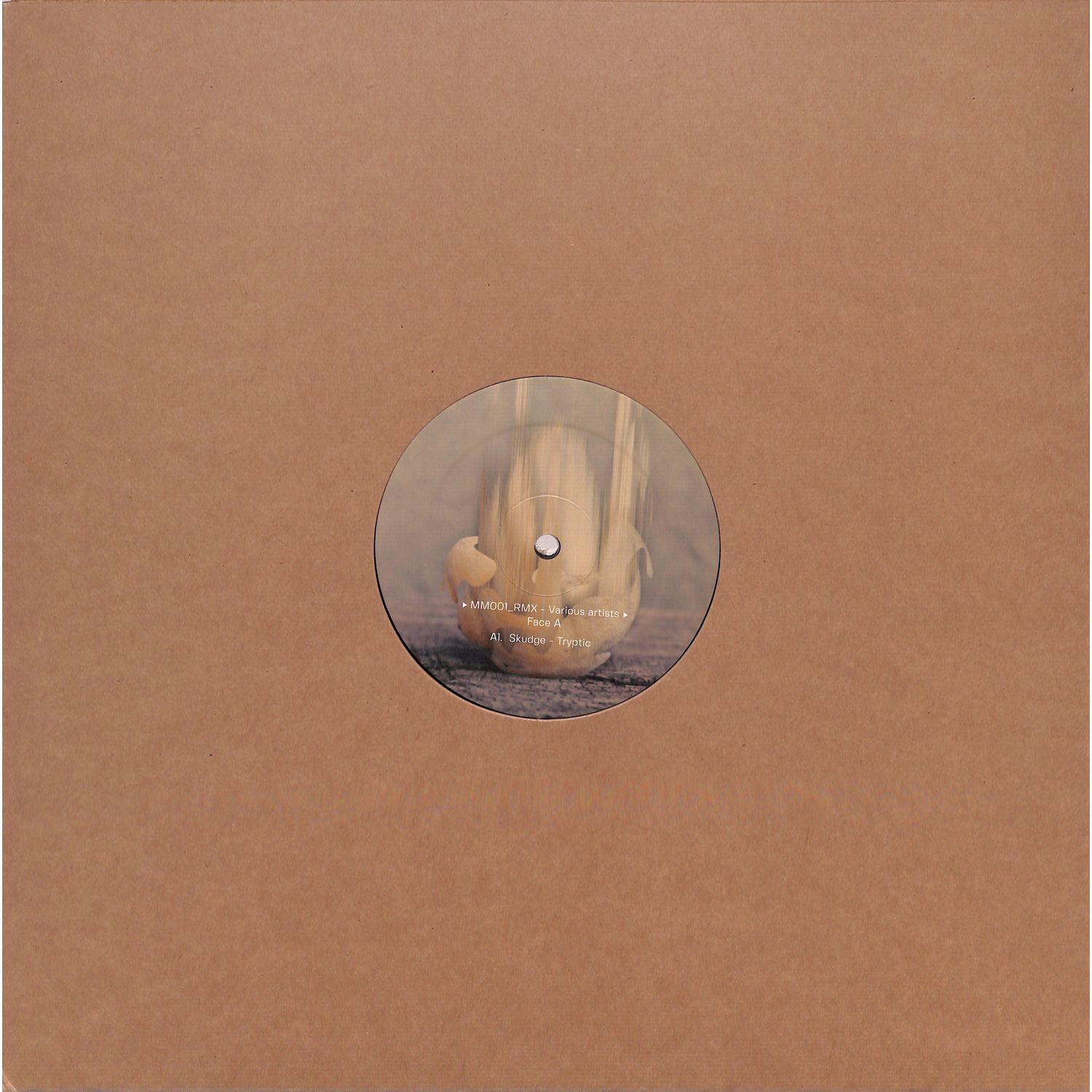 Skudge / Temudo / Amarou - TRYPTIC REMIXES