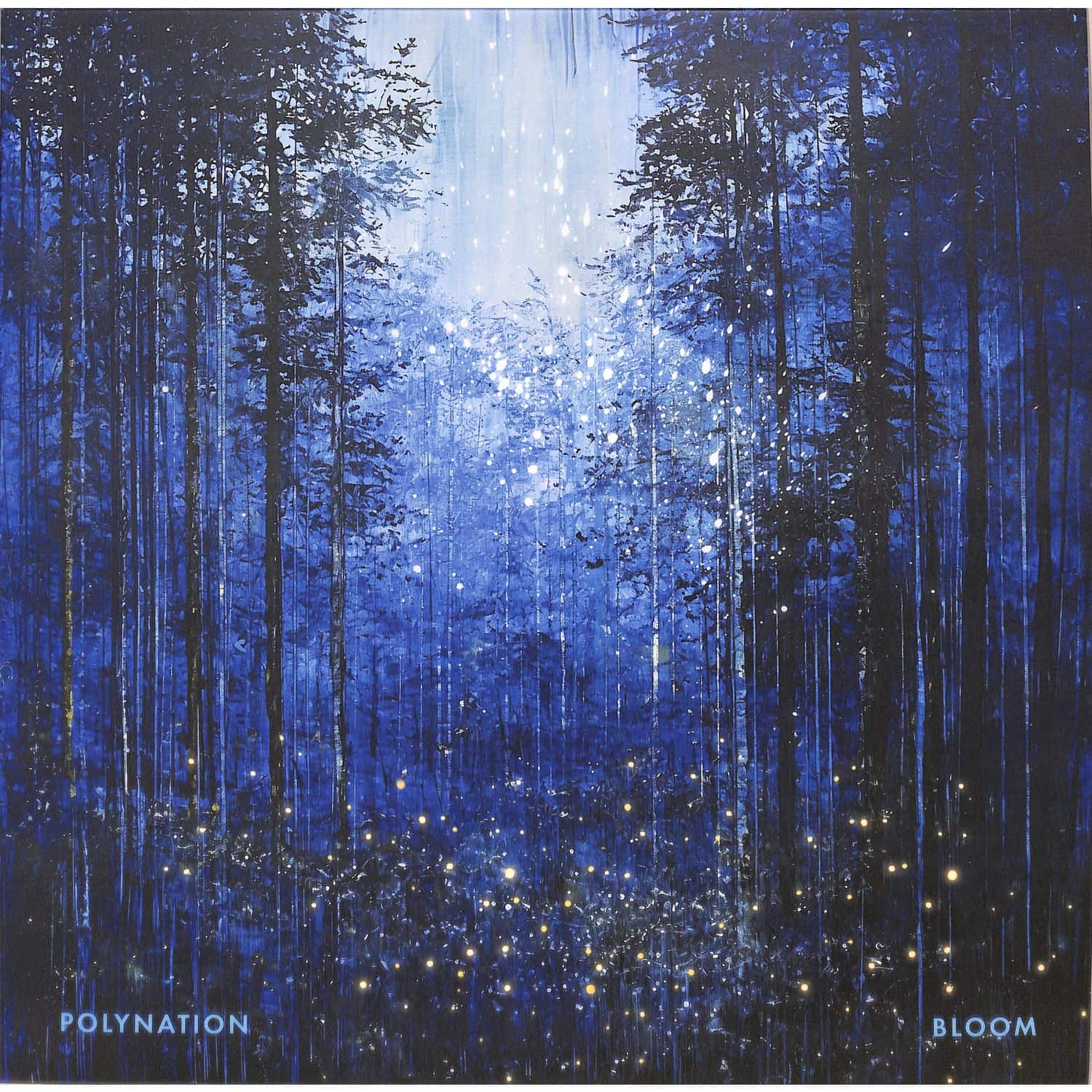 Polynation - BLOOM 
