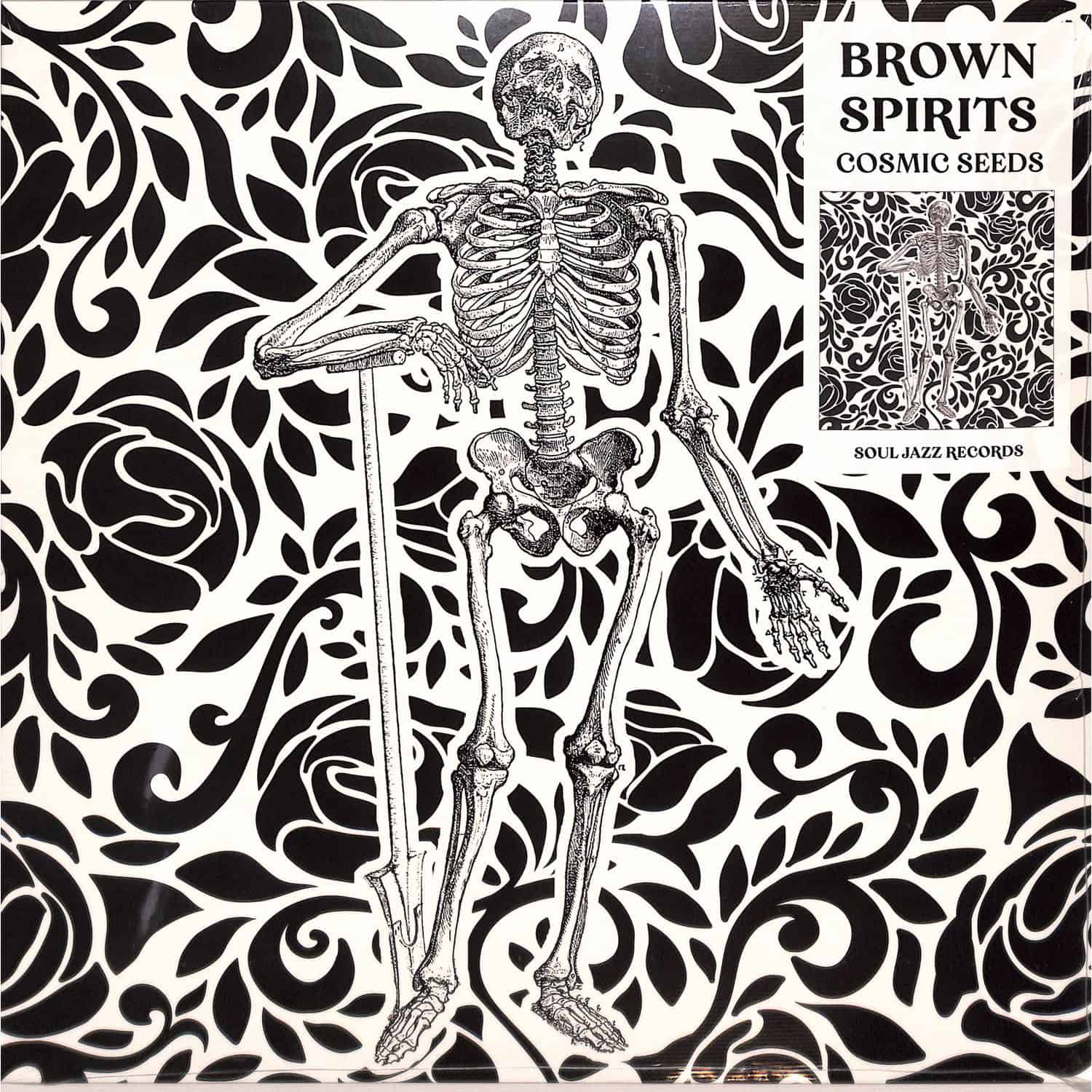 Brown Spirits - COSMIC SEEDS 