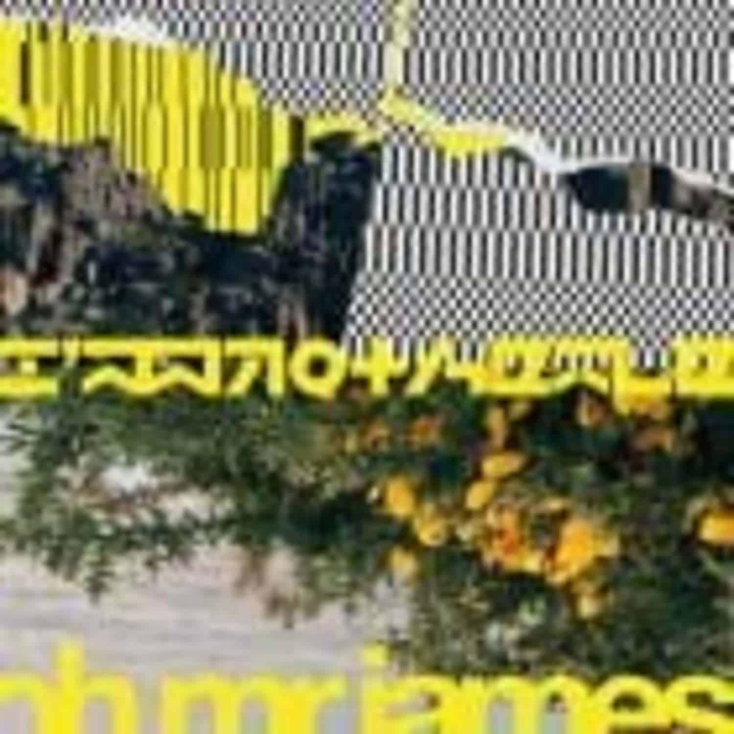 Oh Mr James - IM NOT HERE EP