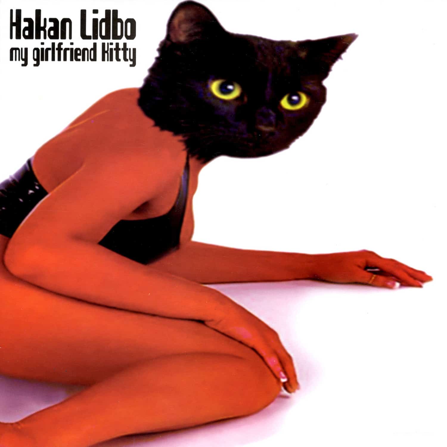 Hakan Lidbo - MY GIRLFRIEND KITTY