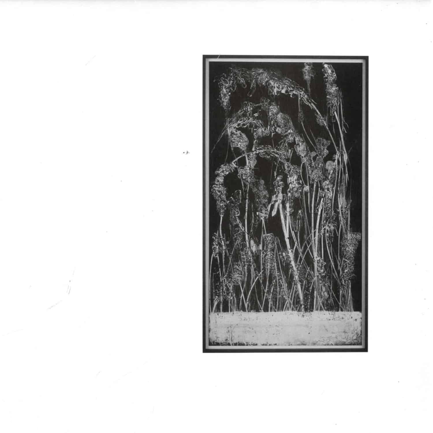 Lawrence - DEEP SUMMER HOLE