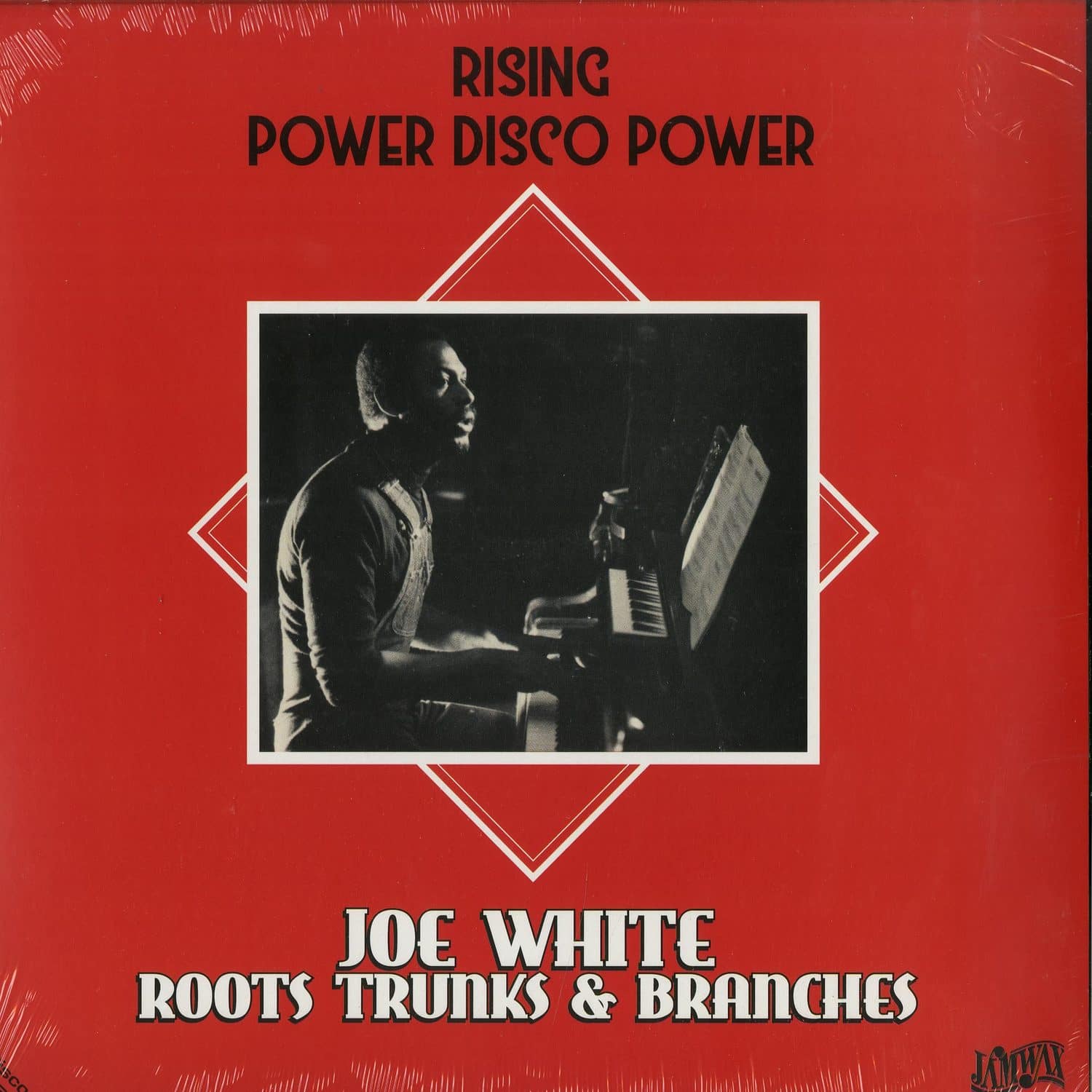 Joe White & Roots Trunks & Branches - RISING / POWER DISCO POWER