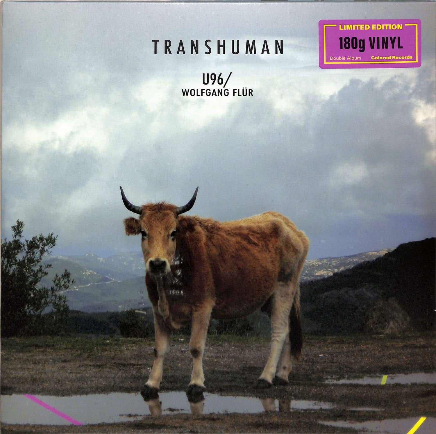 U96 / Wolfgang Fluer  - TRANSHUMAN 