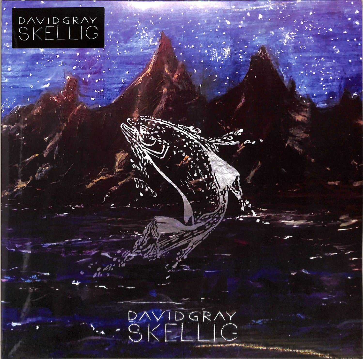 David Gray - SKELLIG