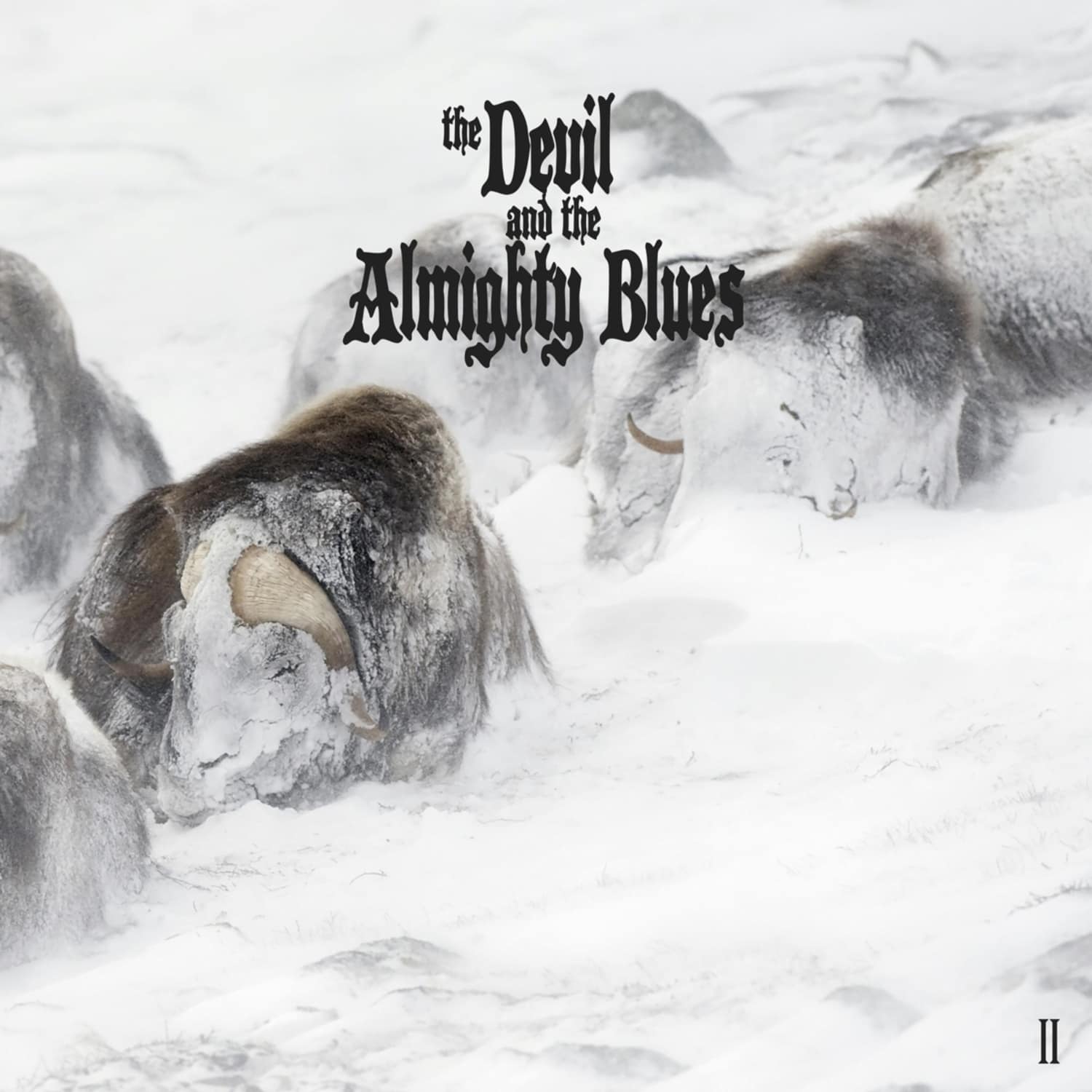 Devil And The Almighty Blues - II 